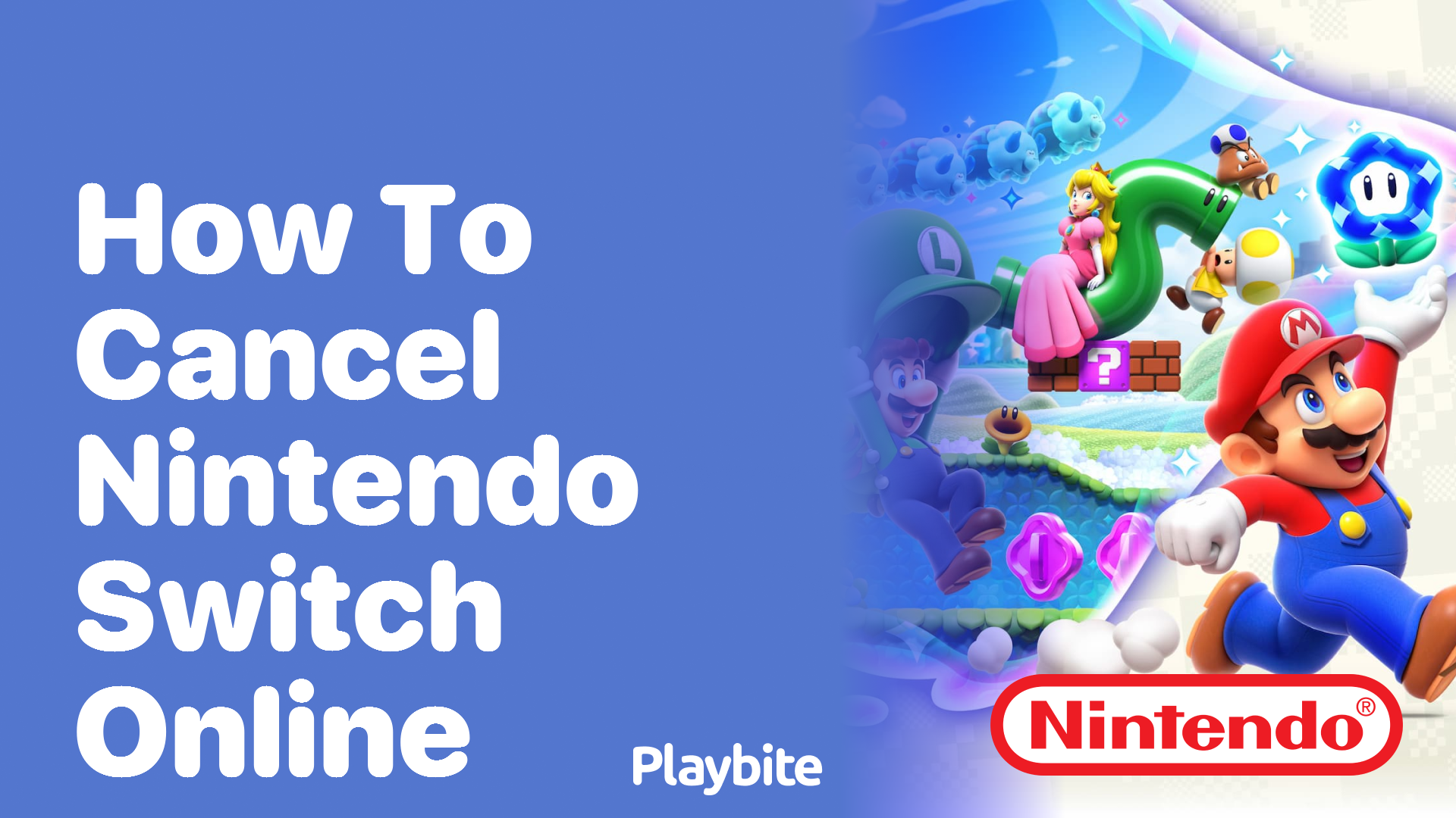 How to Cancel Your Nintendo Switch Online Subscription