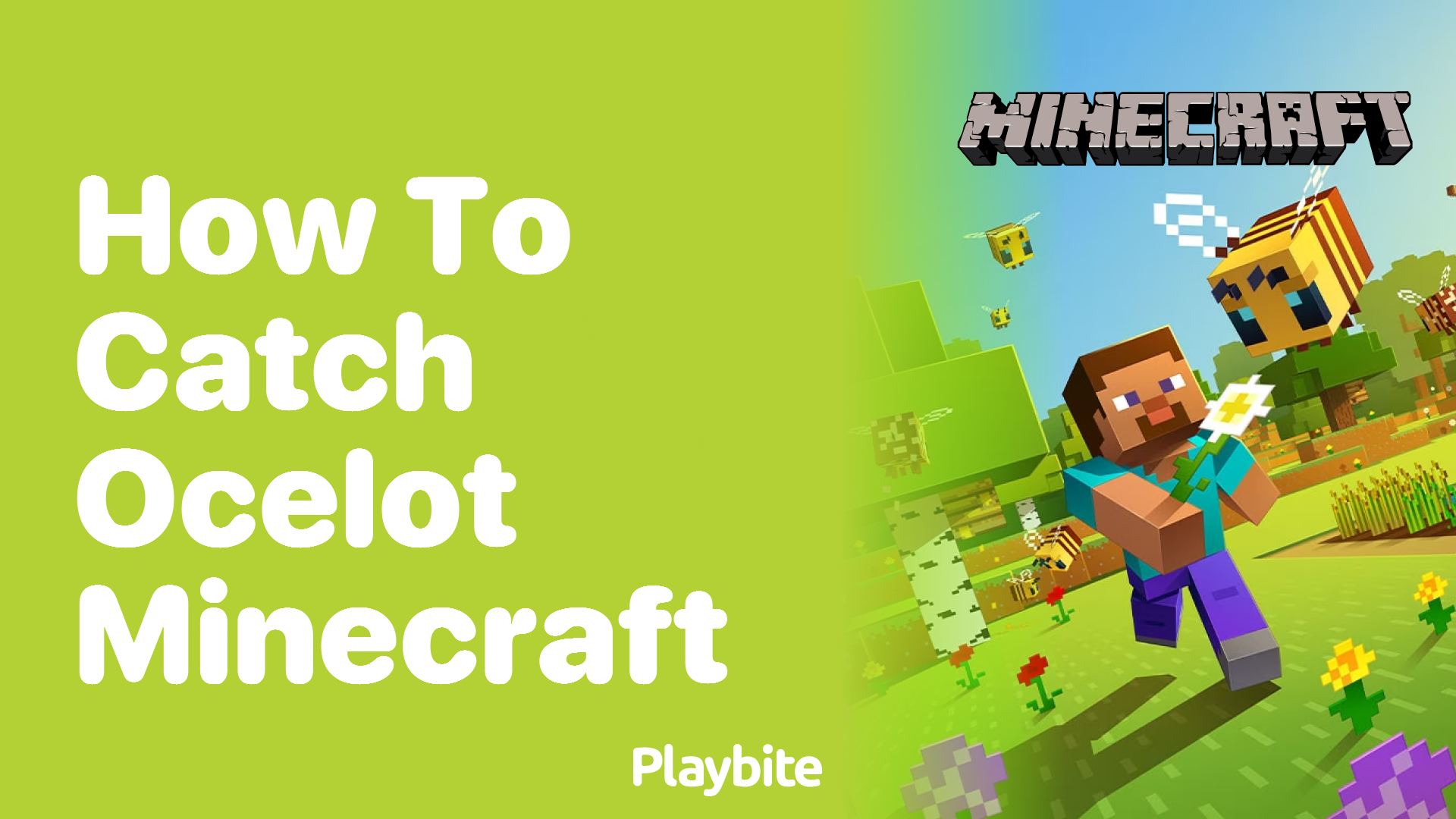 How to Catch an Ocelot in Minecraft