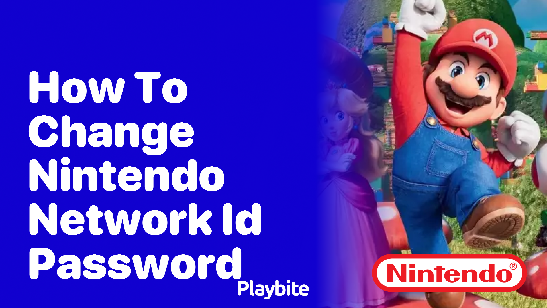 How to Change Your Nintendo Network ID Password