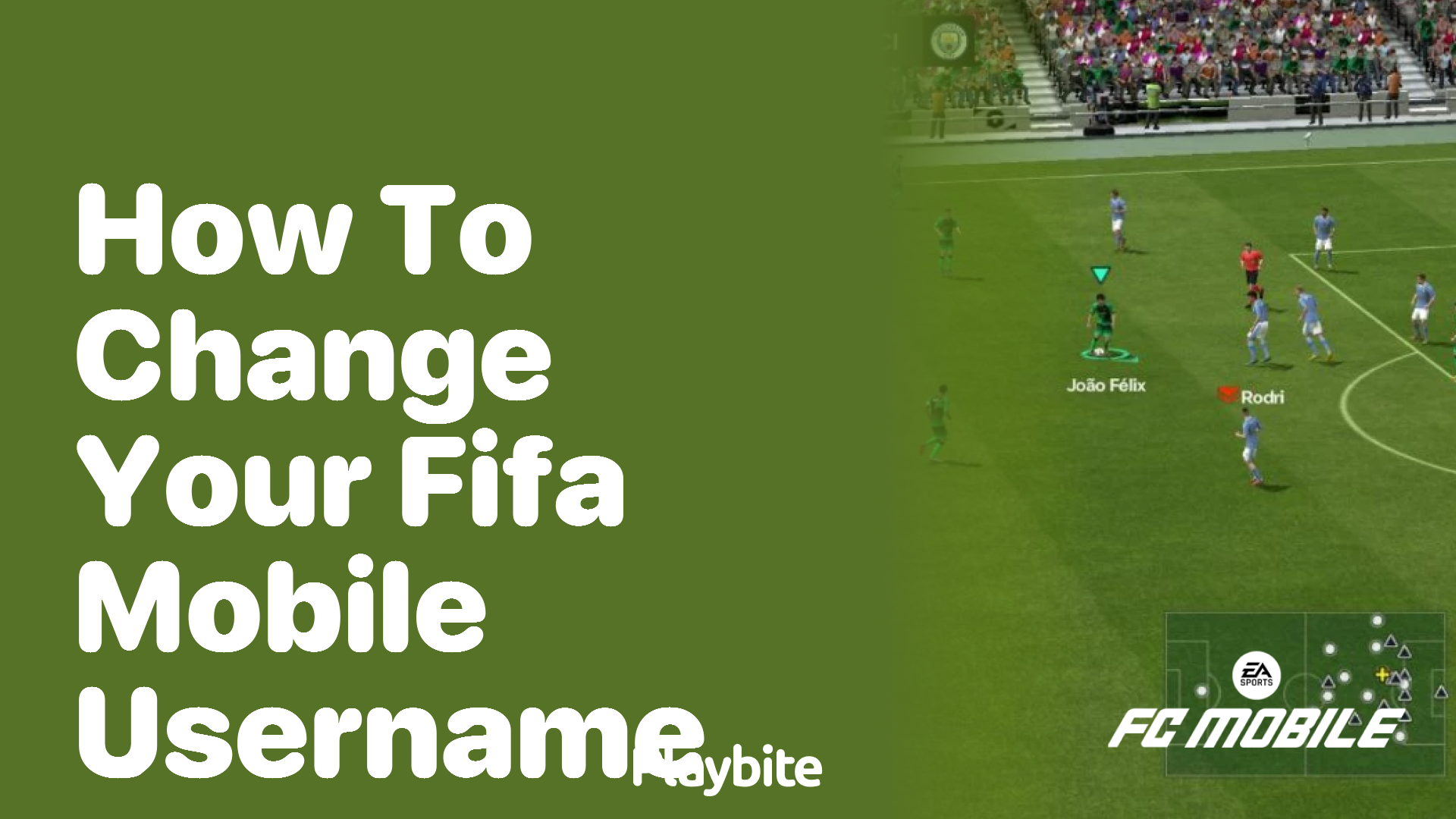 How to Change Your FIFA Mobile Username: A Quick Guide