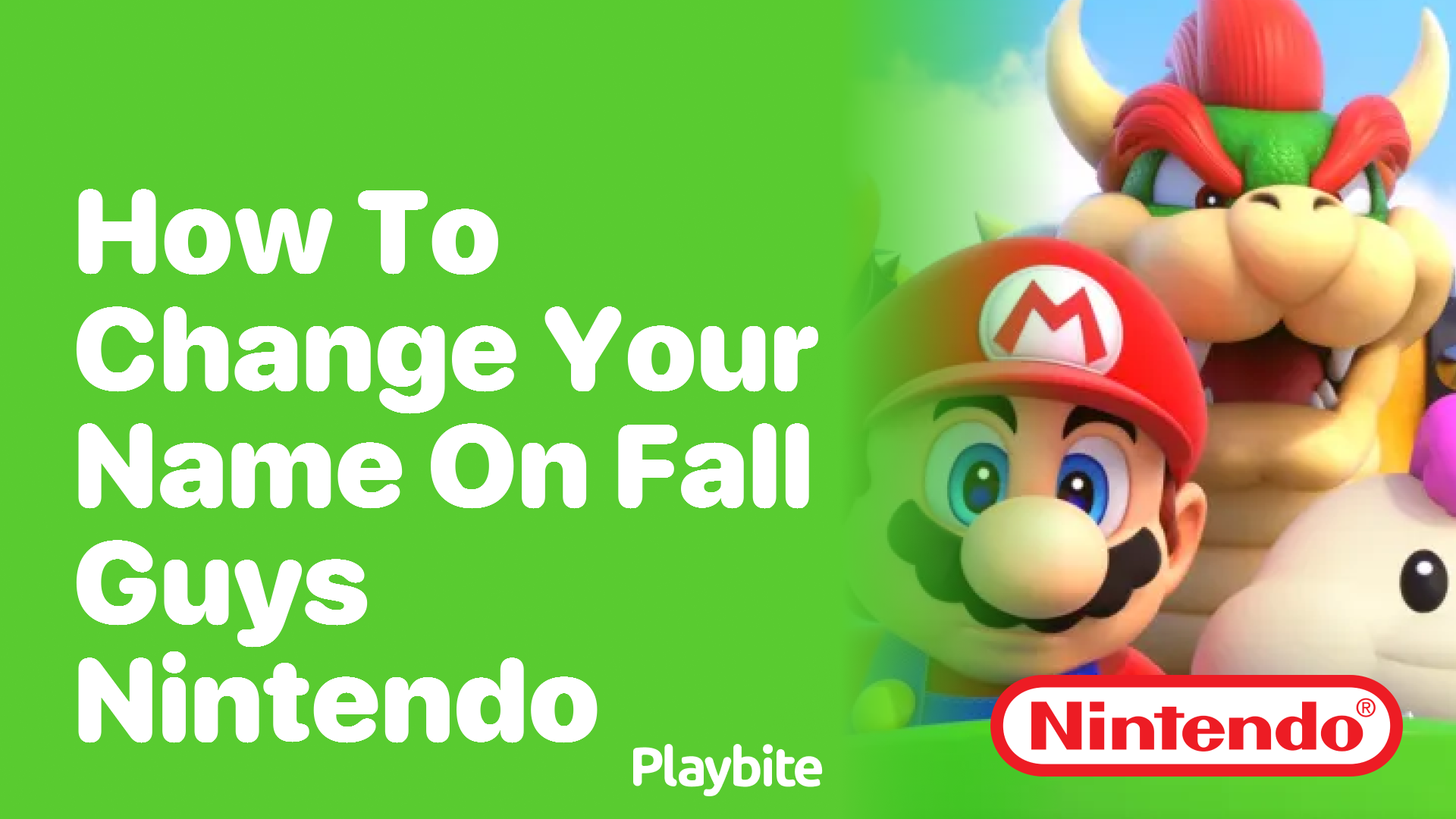 How to Change Your Name on Fall Guys for Nintendo