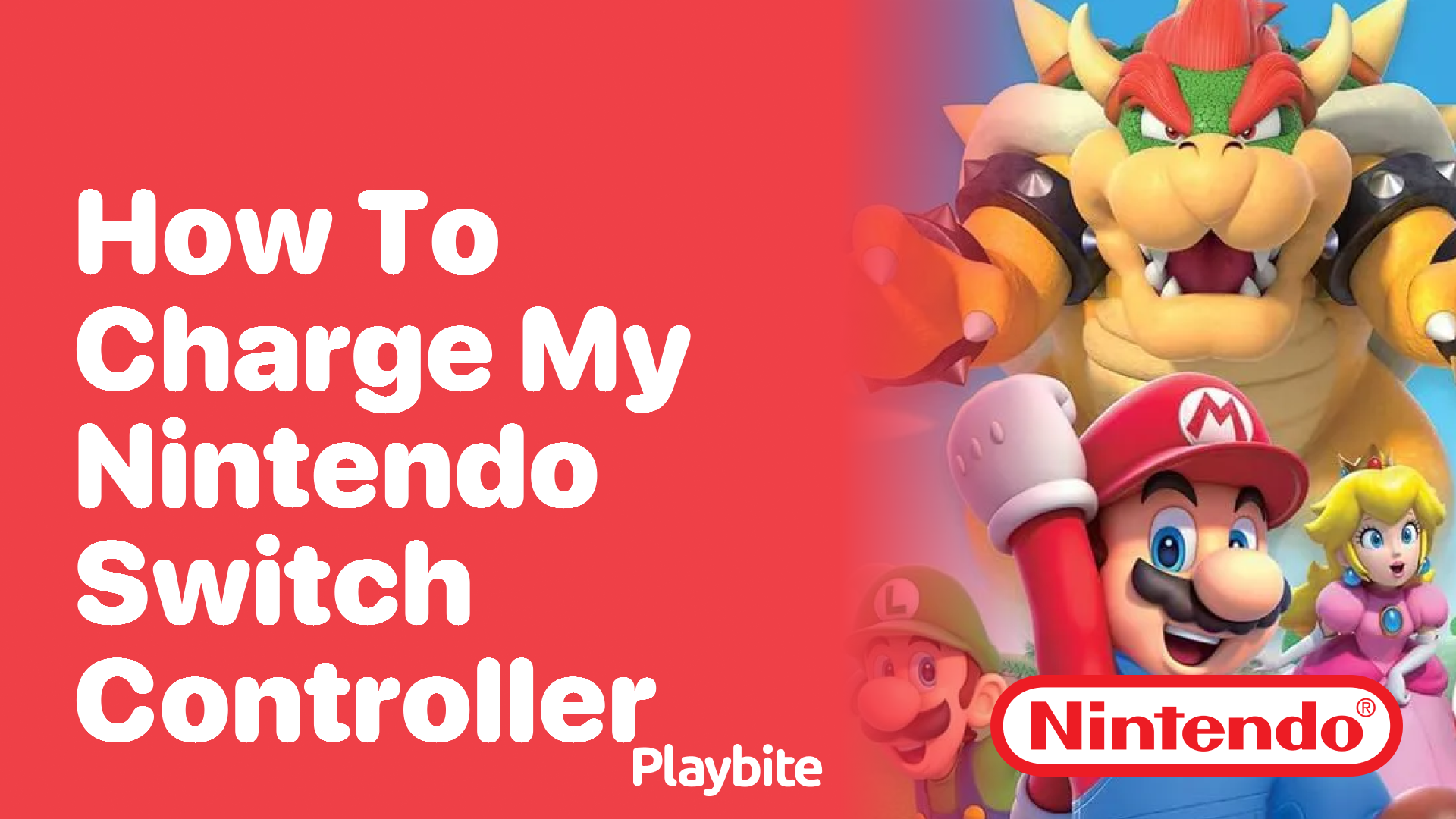 How to Charge Your Nintendo Switch Controller Playbite