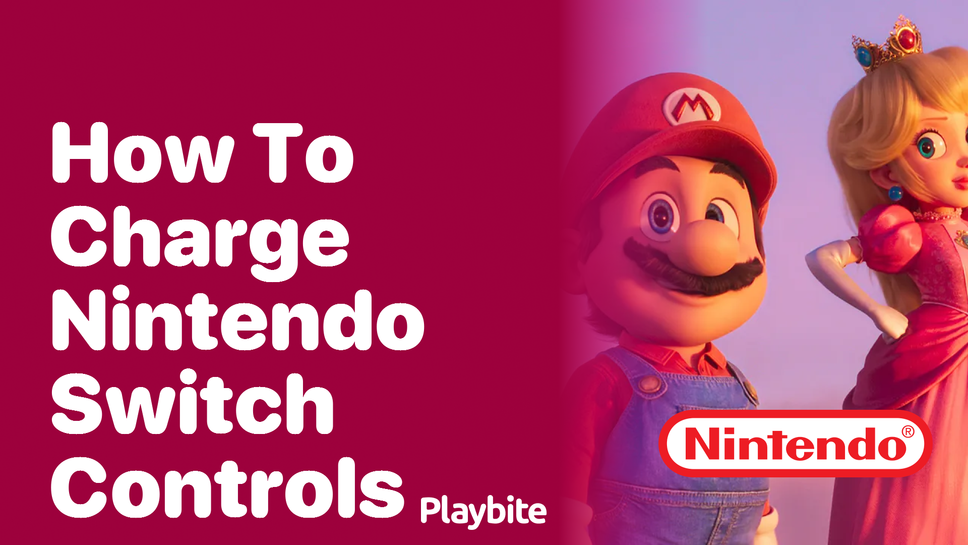 How to Charge Nintendo Switch Controllers Playbite