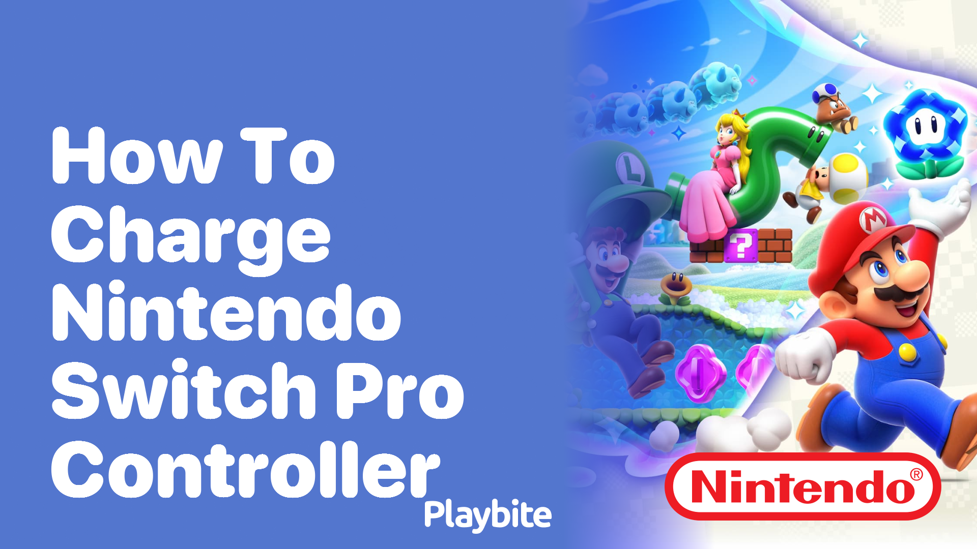 How to Charge Your Nintendo Switch Pro Controller