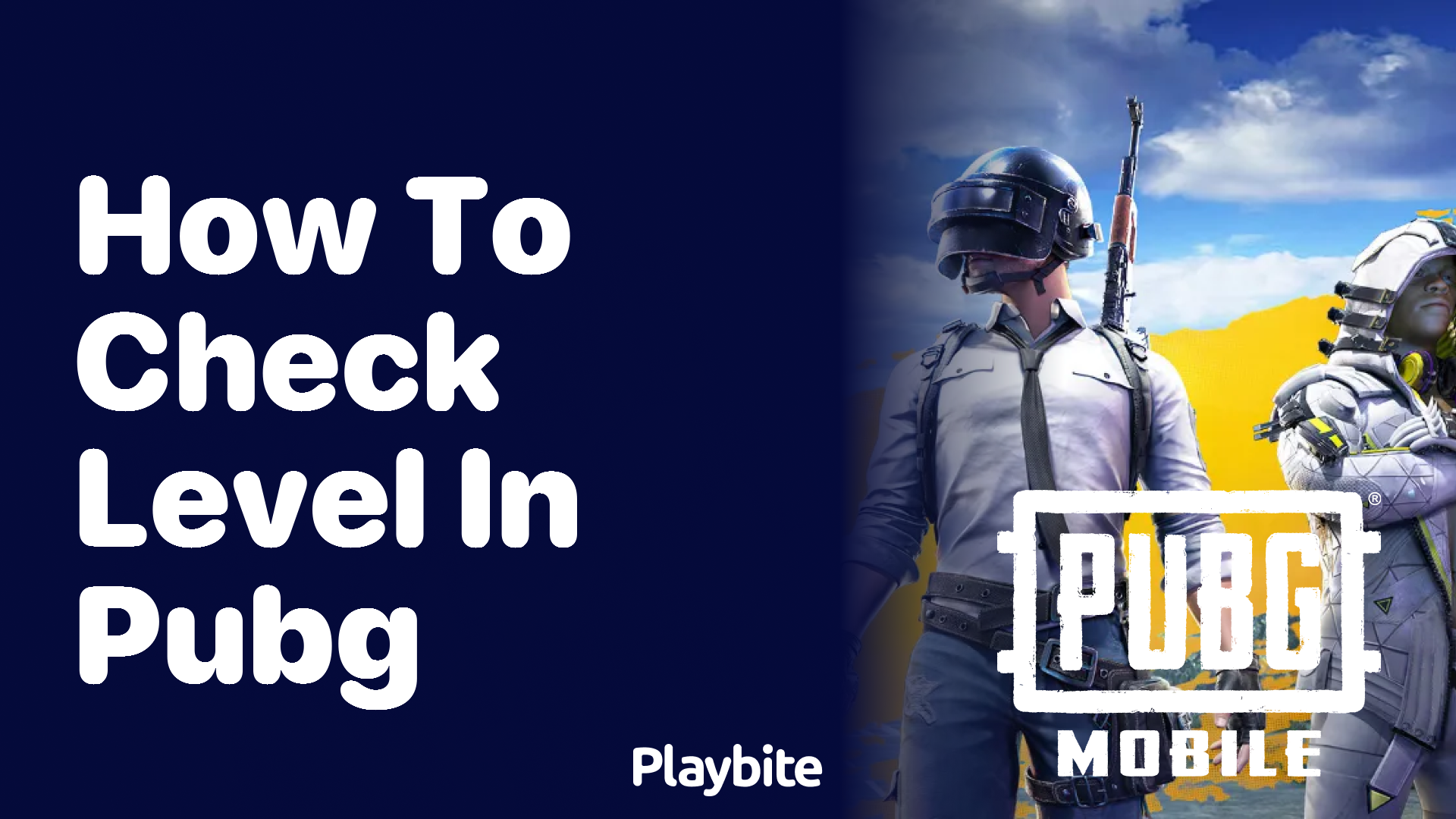 How to Check Your Level in PUBG Mobile