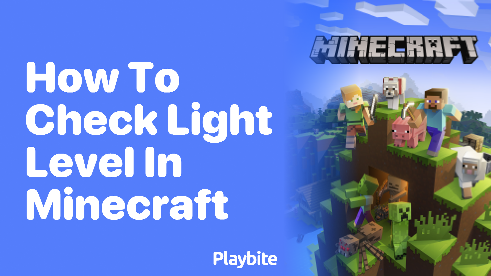 How to Check Light Level in Minecraft Playbite