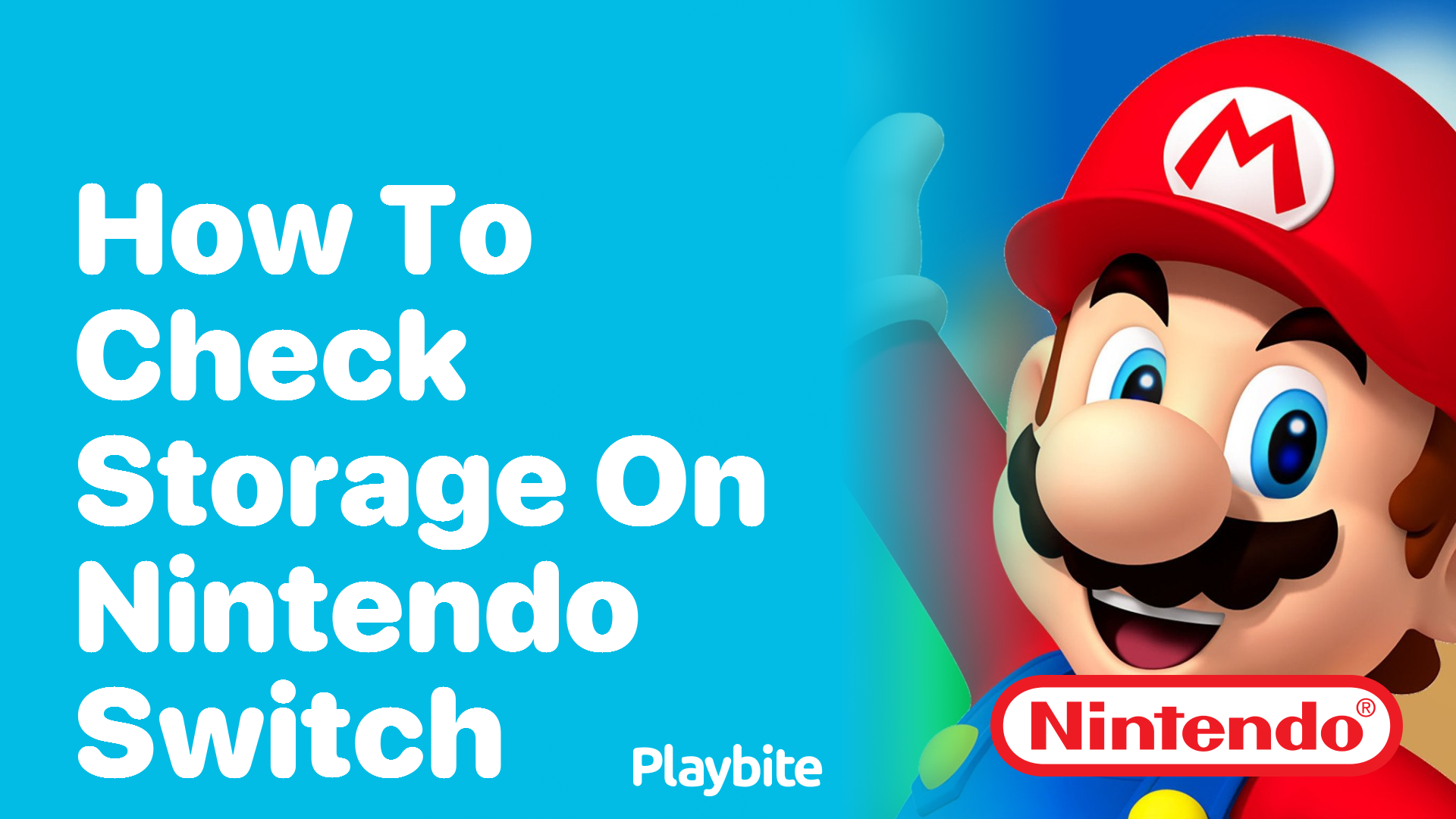 How to Check Storage on Your Nintendo Switch Playbite