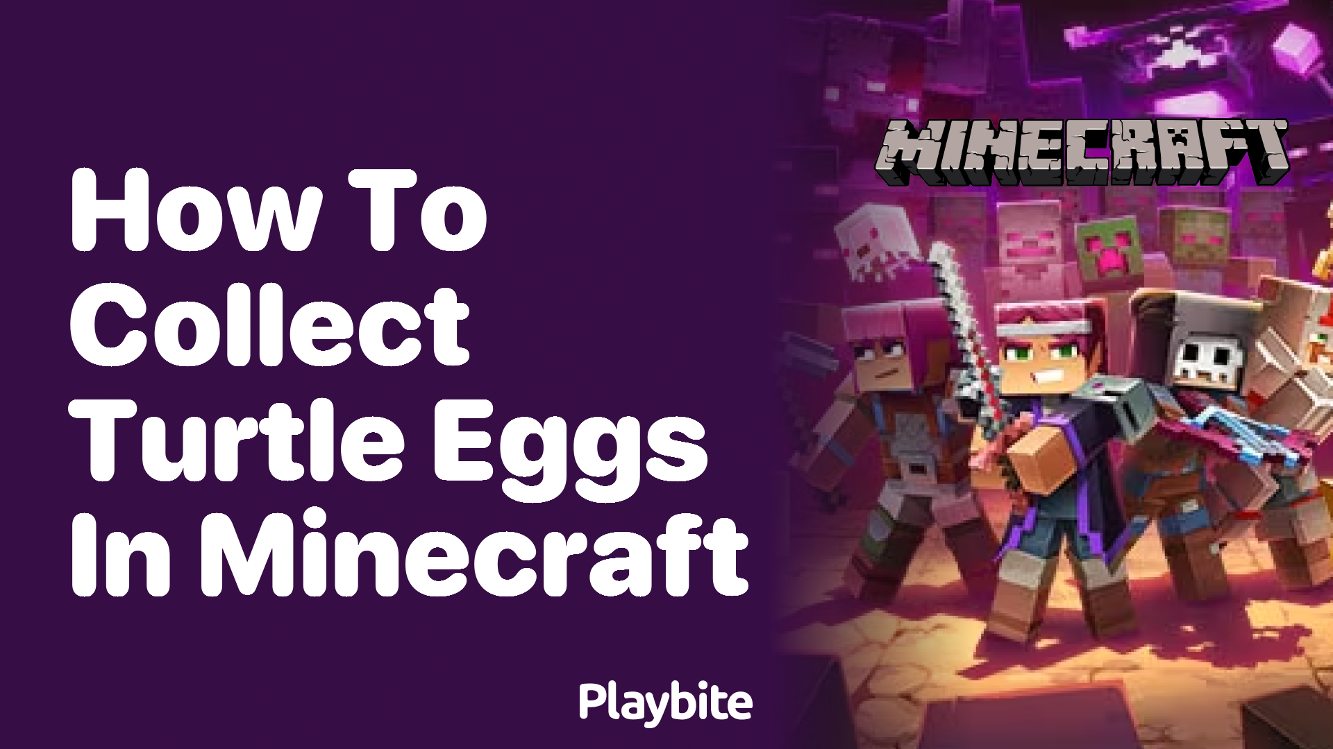 How to Collect Turtle Eggs in Minecraft