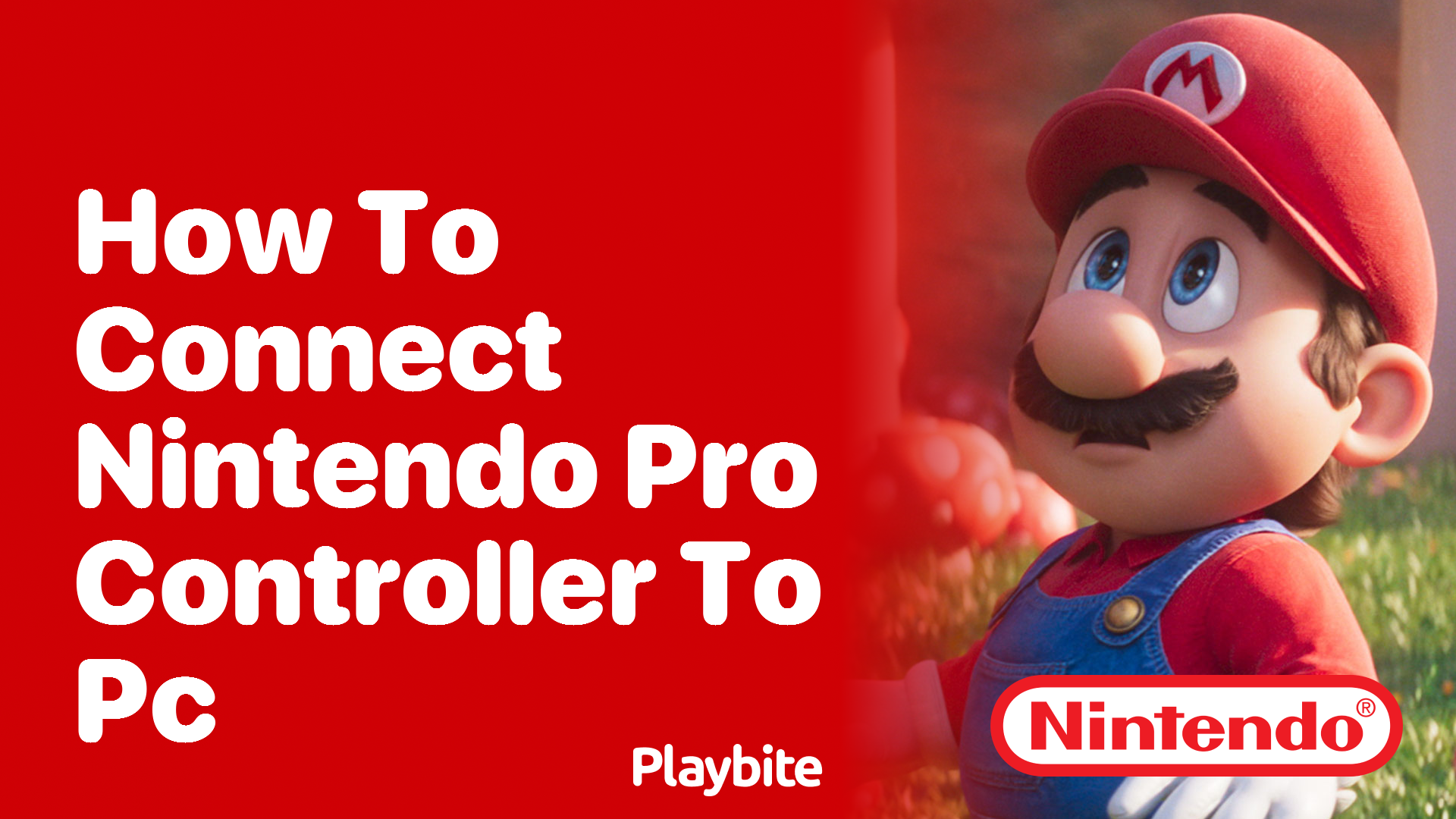 How to Connect Your Nintendo Pro Controller to a PC