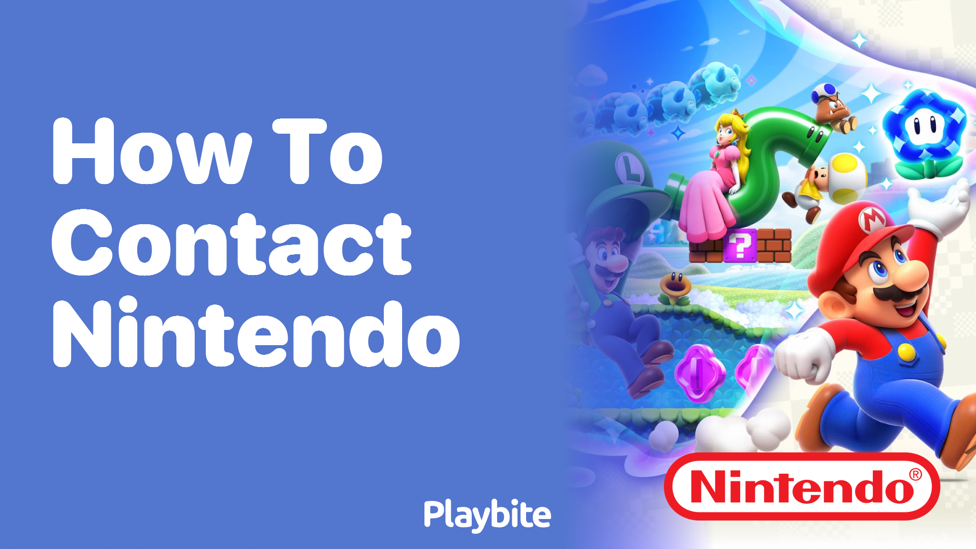 How to Contact Nintendo for Support and Questions