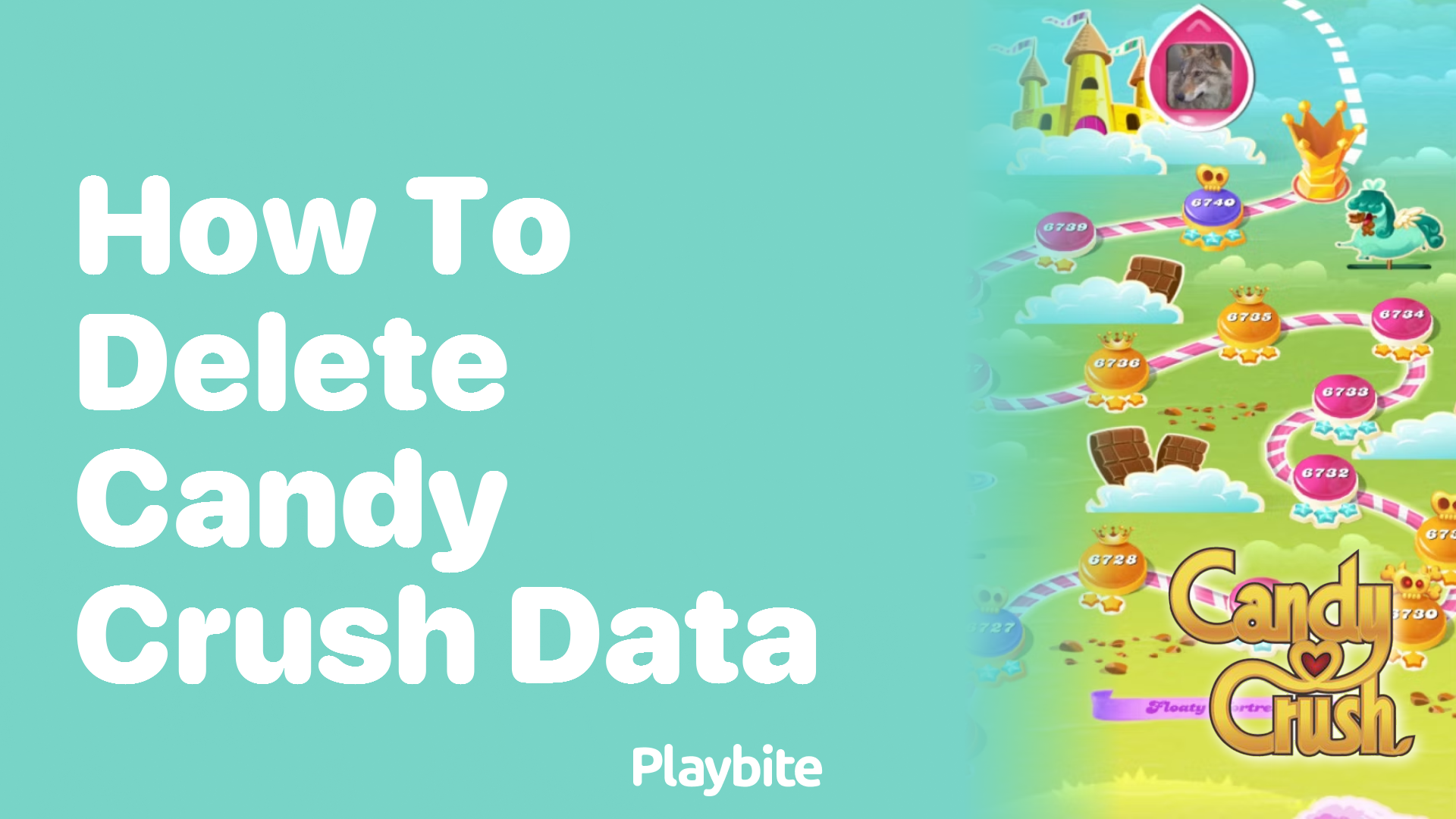 How to Delete Your Candy Crush Data A Simple Guide Playbite