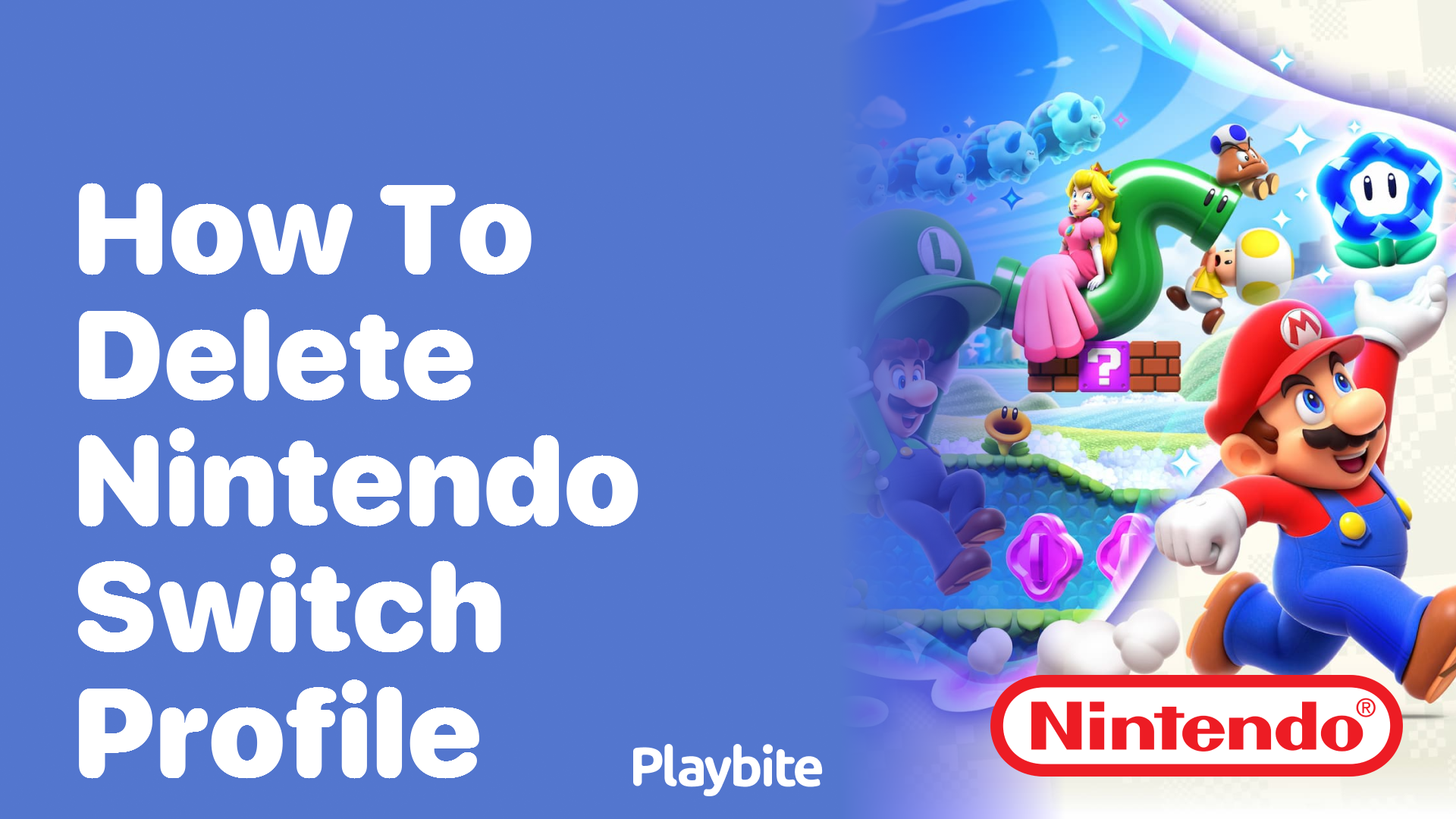 How to Delete a Nintendo Switch Profile Playbite
