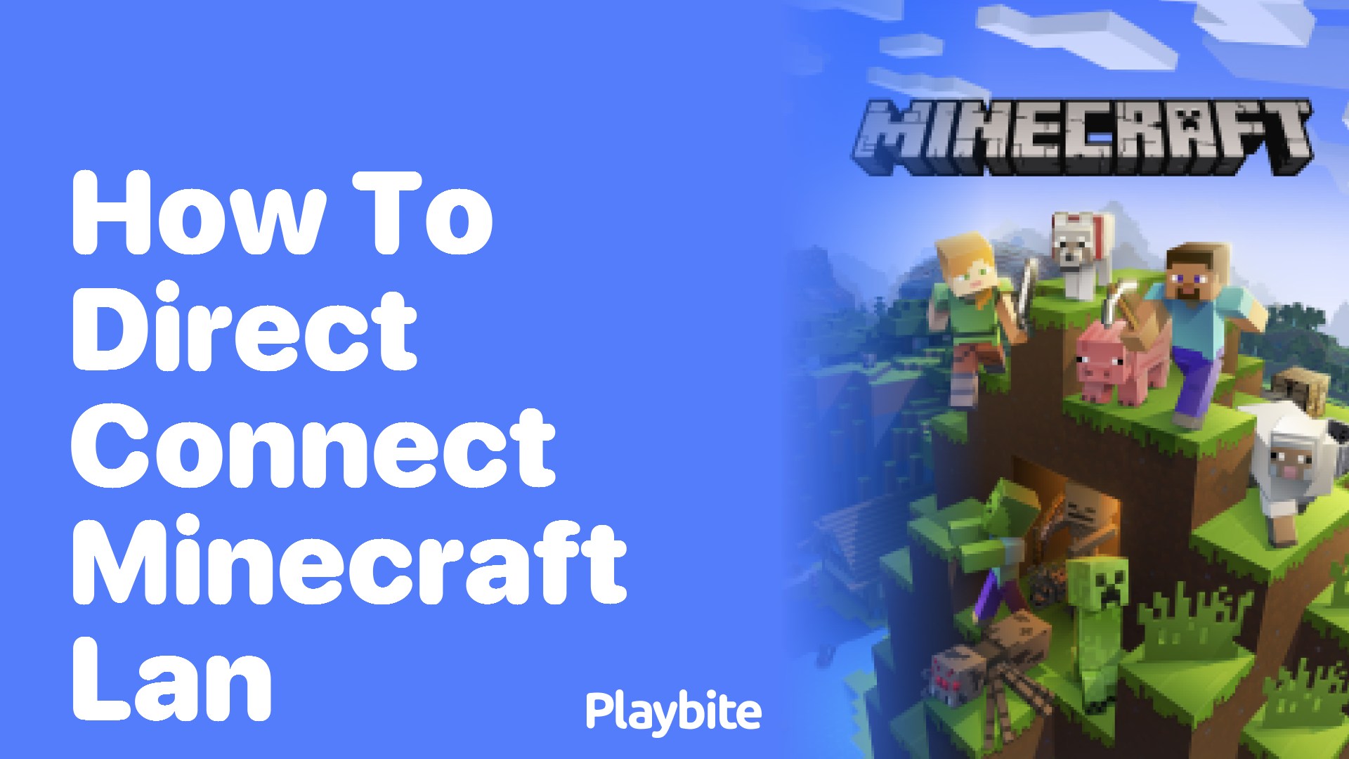 How to Direct Connect in Minecraft LAN Playbite