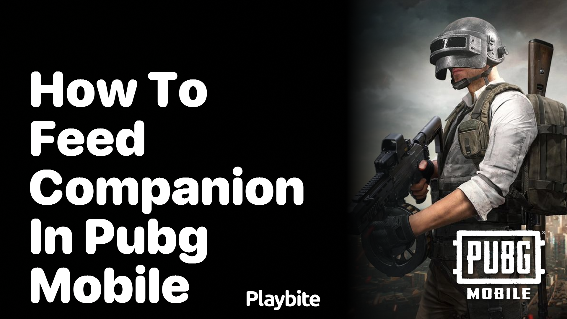 How to Feed Your Companion in PUBG Mobile
