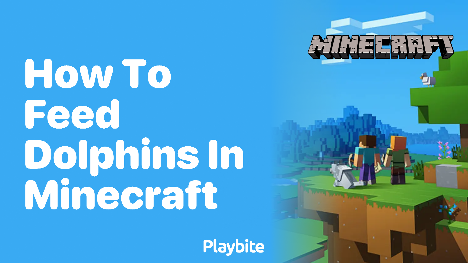 How do you feed dolphins in Minecraft?