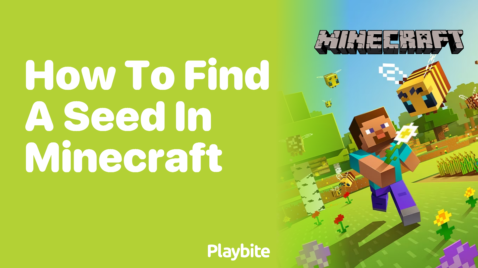How to Find a Seed in Minecraft: A Simple Guide