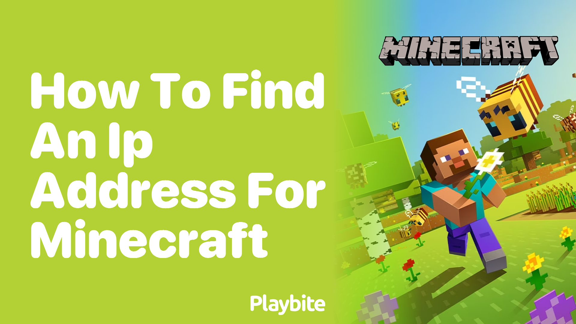 How to Find an IP Address for Minecraft