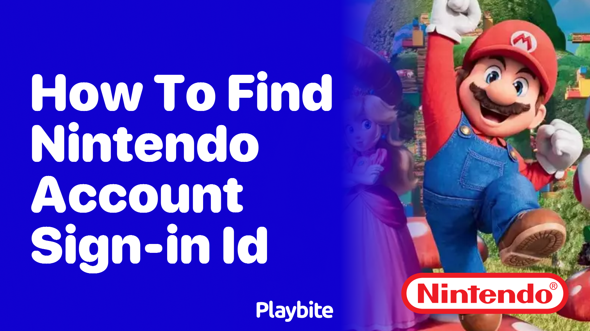 How to Find Your Nintendo Account Sign-In ID
