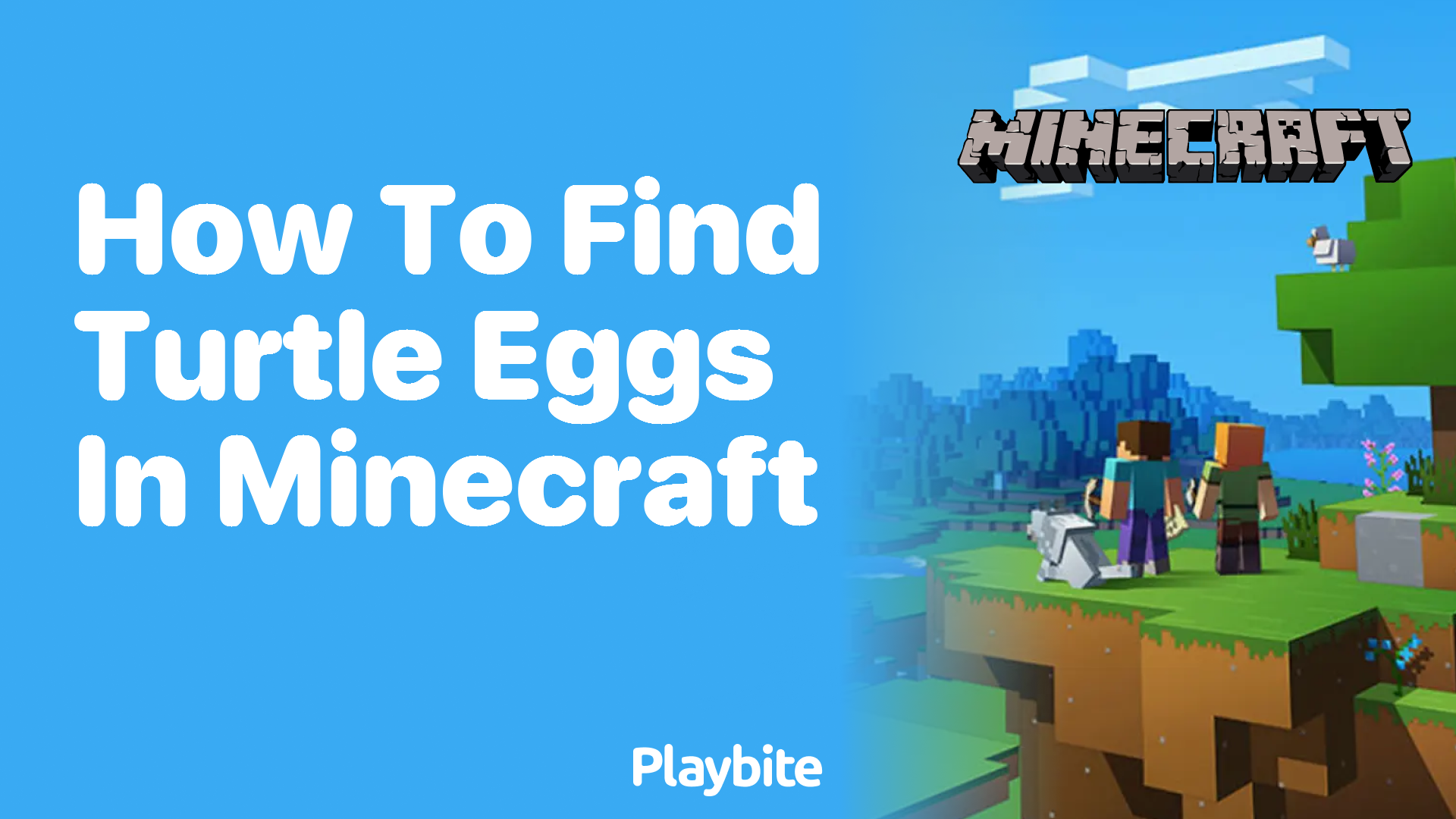 How to Find Turtle Eggs in Minecraft