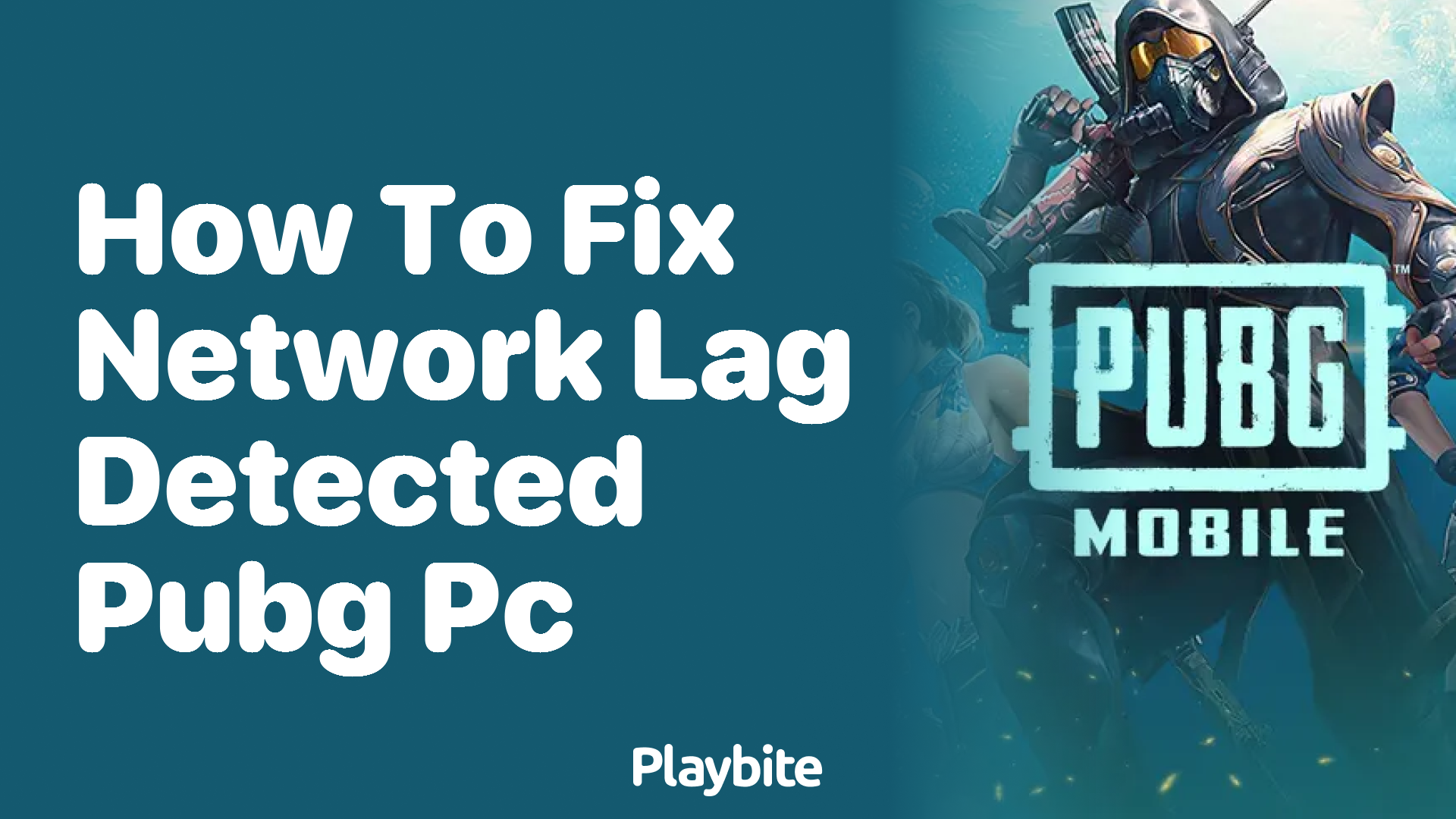 How to Fix Network Lag Detected in PUBG PC