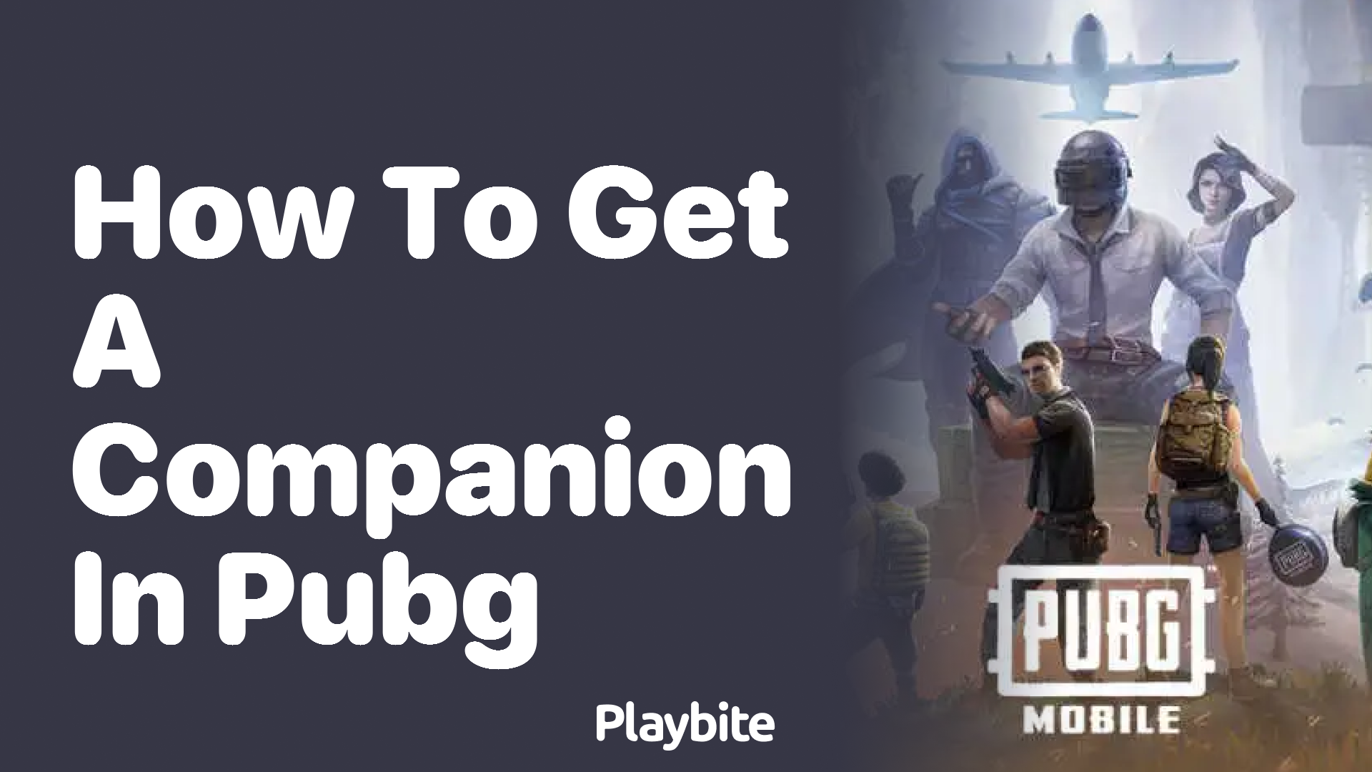 How to Get a Companion in PUBG Mobile