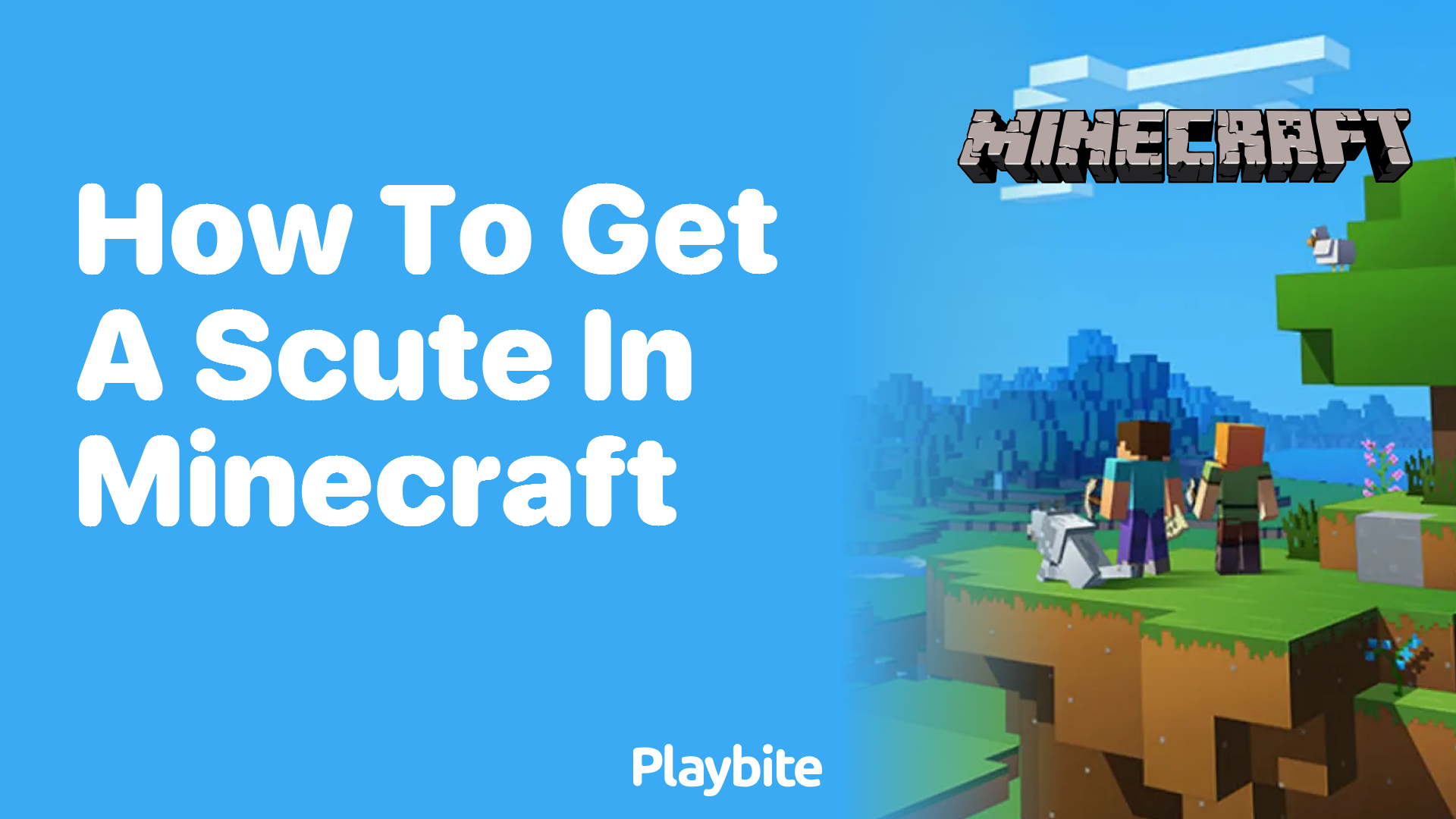 How to Get a Scute in Minecraft