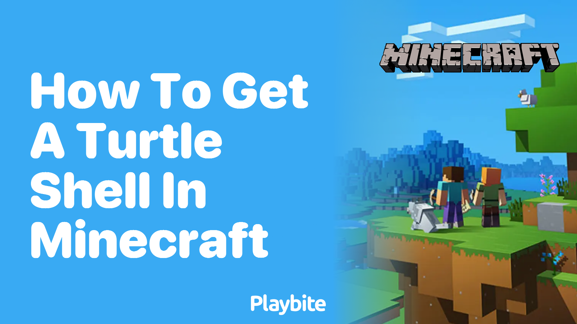 How to Get a Turtle Shell in Minecraft
