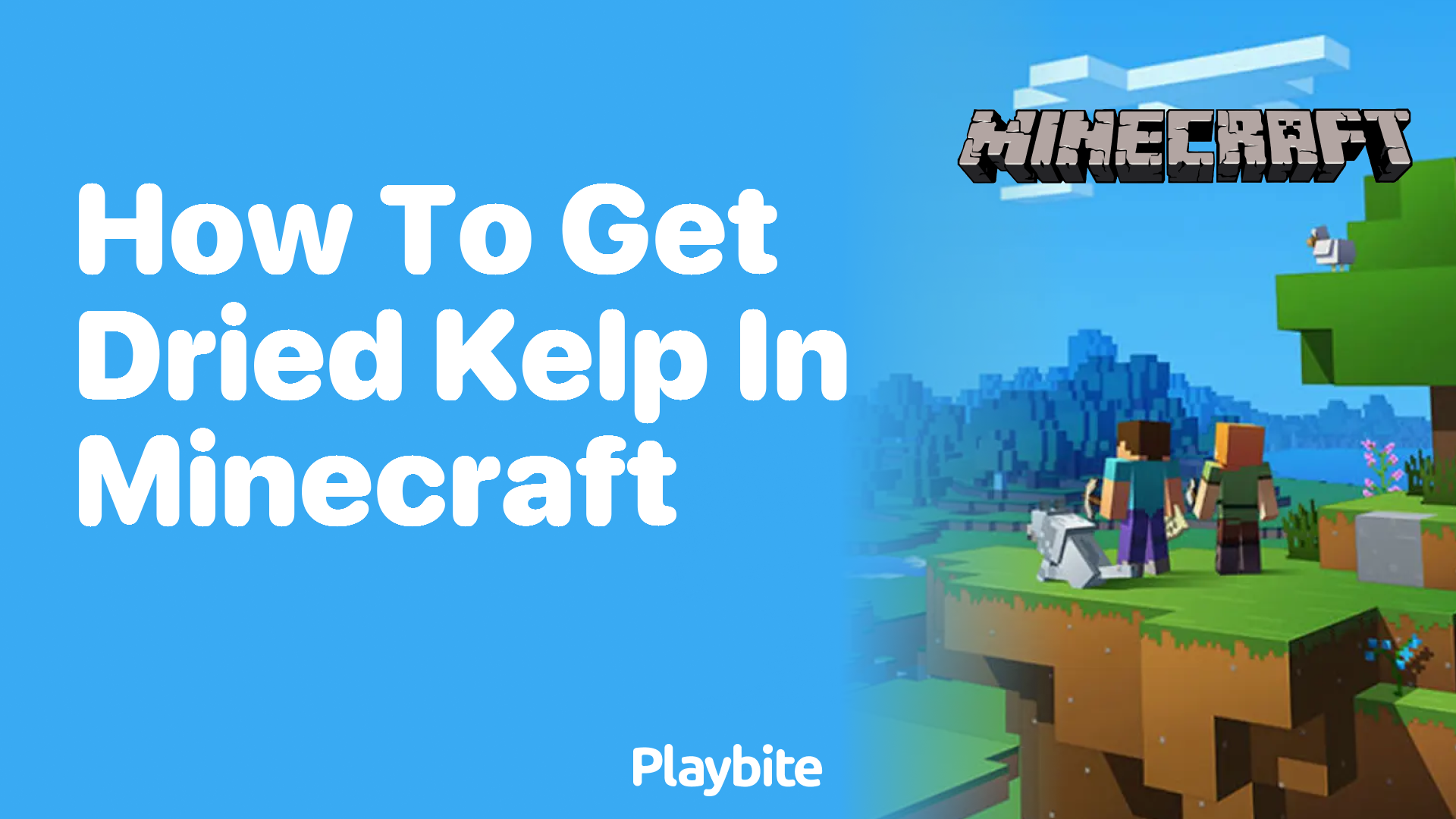 How to Get Dried Kelp in Minecraft A Simple Guide Playbite