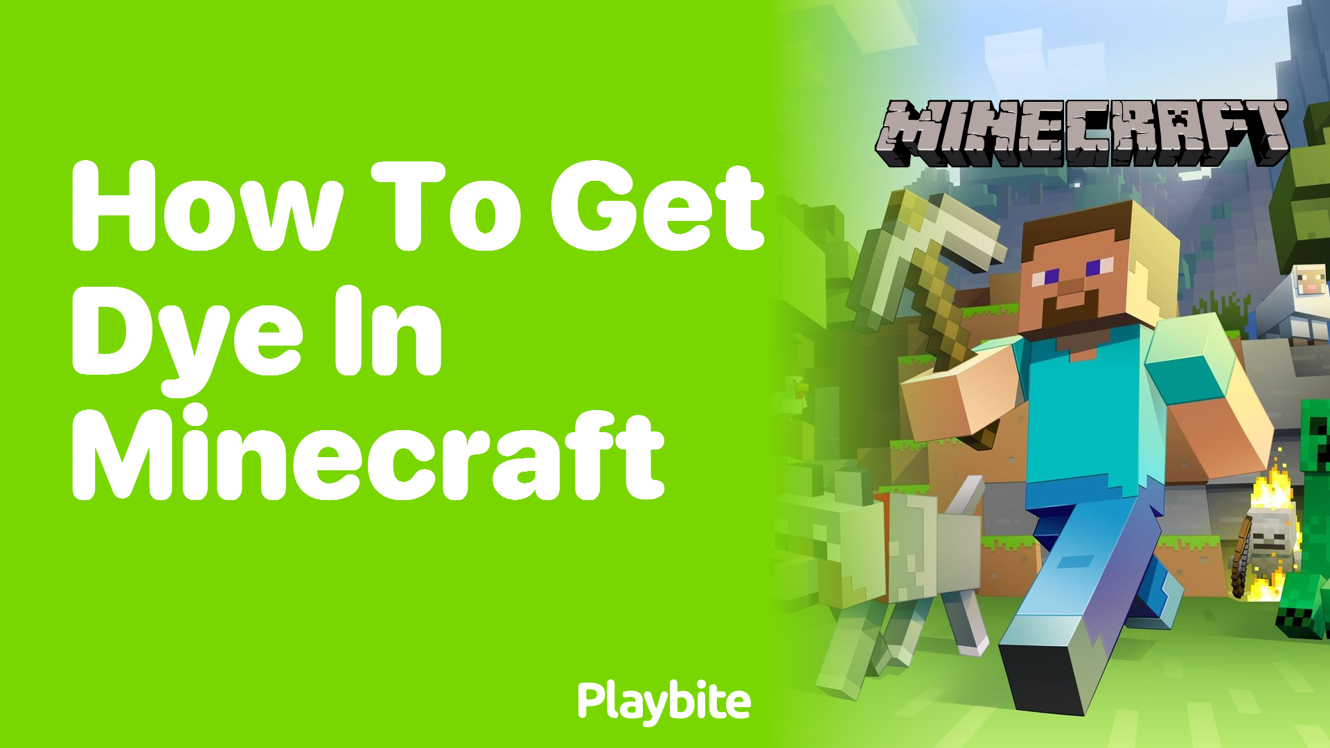 How to Get Dye in Minecraft