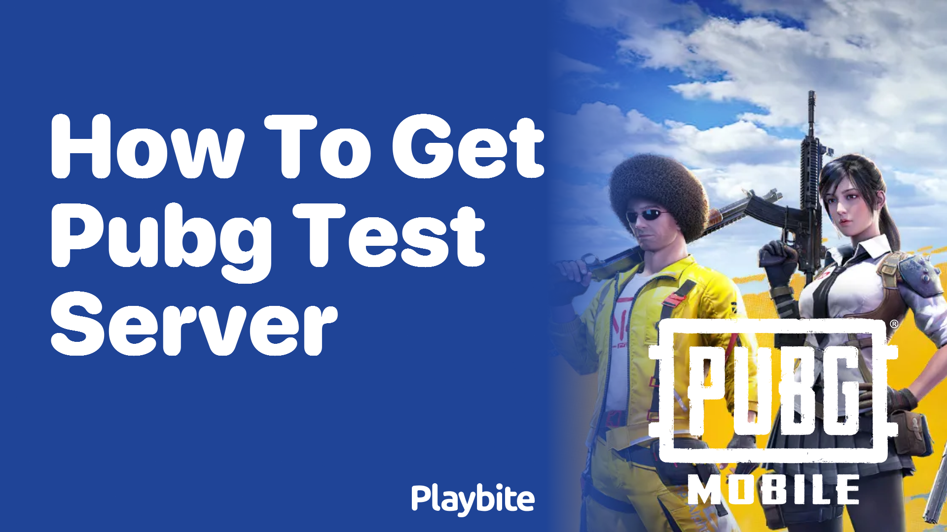 How to Get the PUBG Test Server