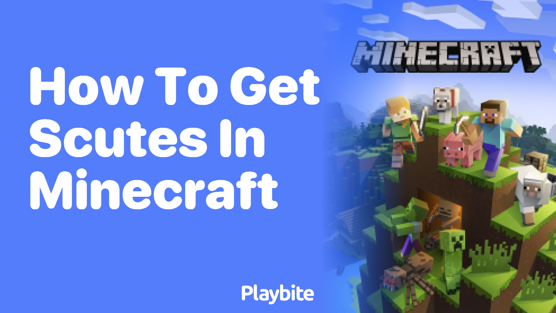 How to Get Scutes in Minecraft