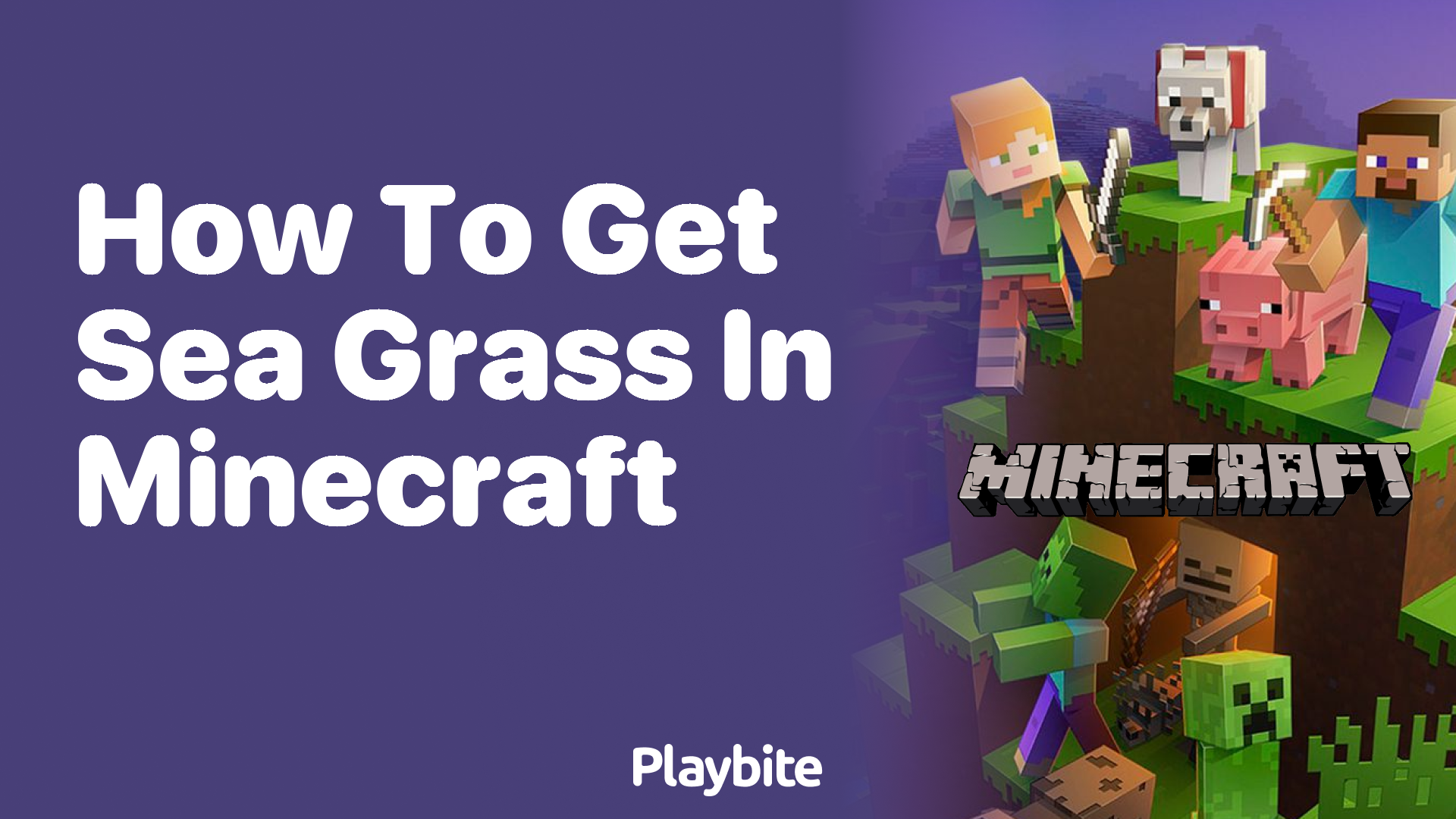 How to get Seagrass in Minecraft