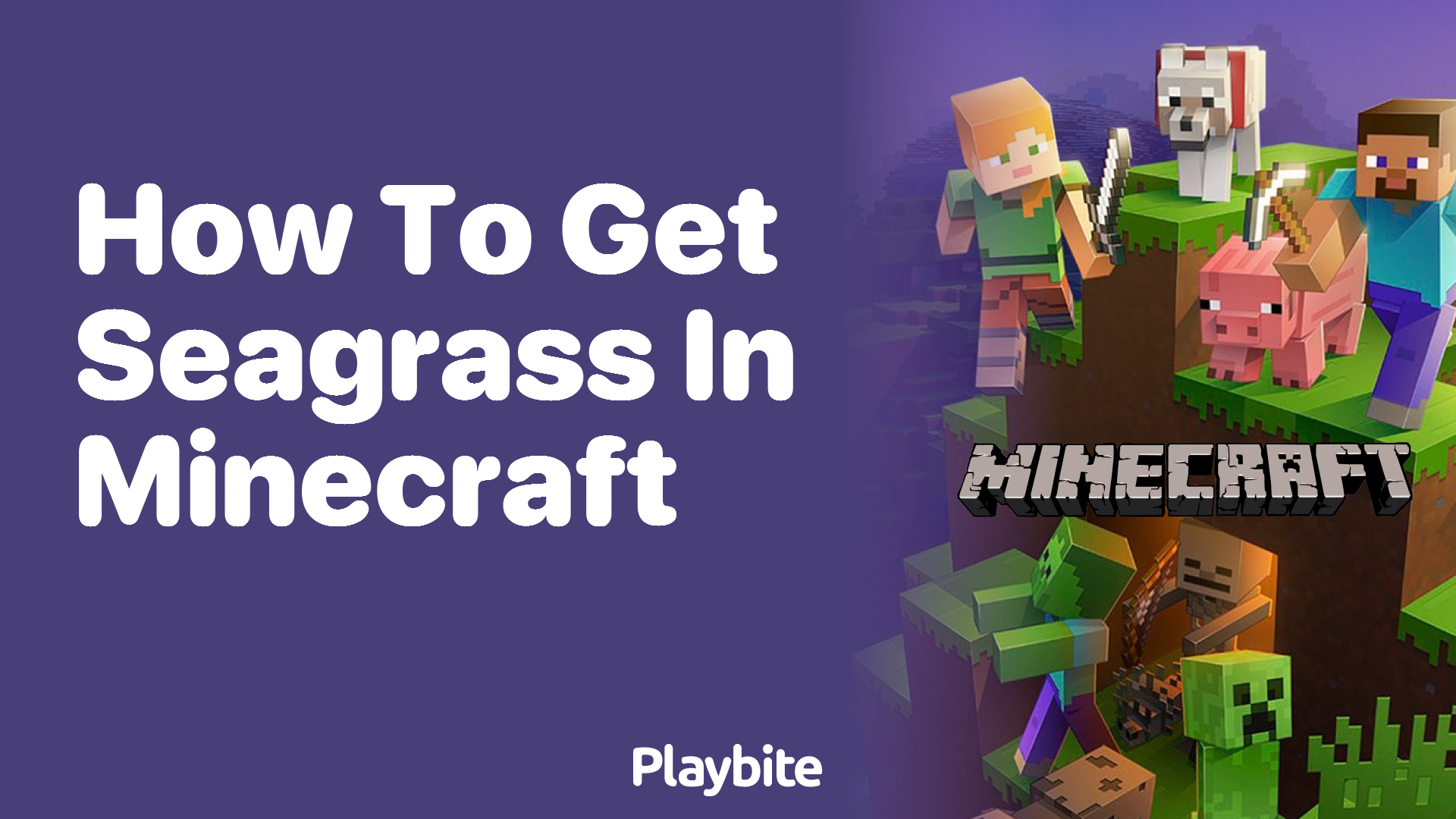 How to Get Seagrass in Minecraft