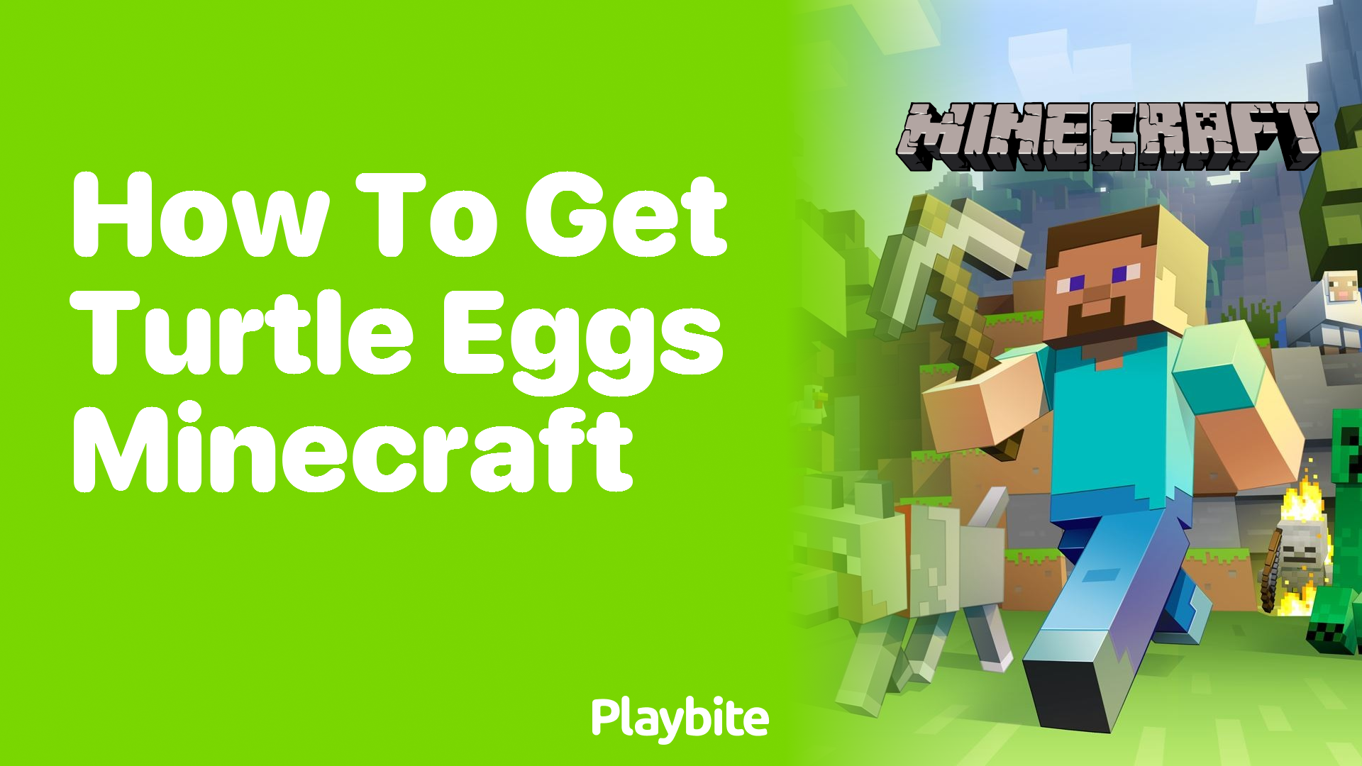 How to Get Turtle Eggs in Minecraft Playbite