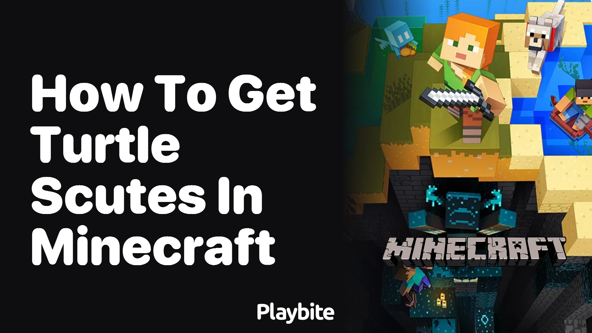 How to Get Turtle Scutes in Minecraft