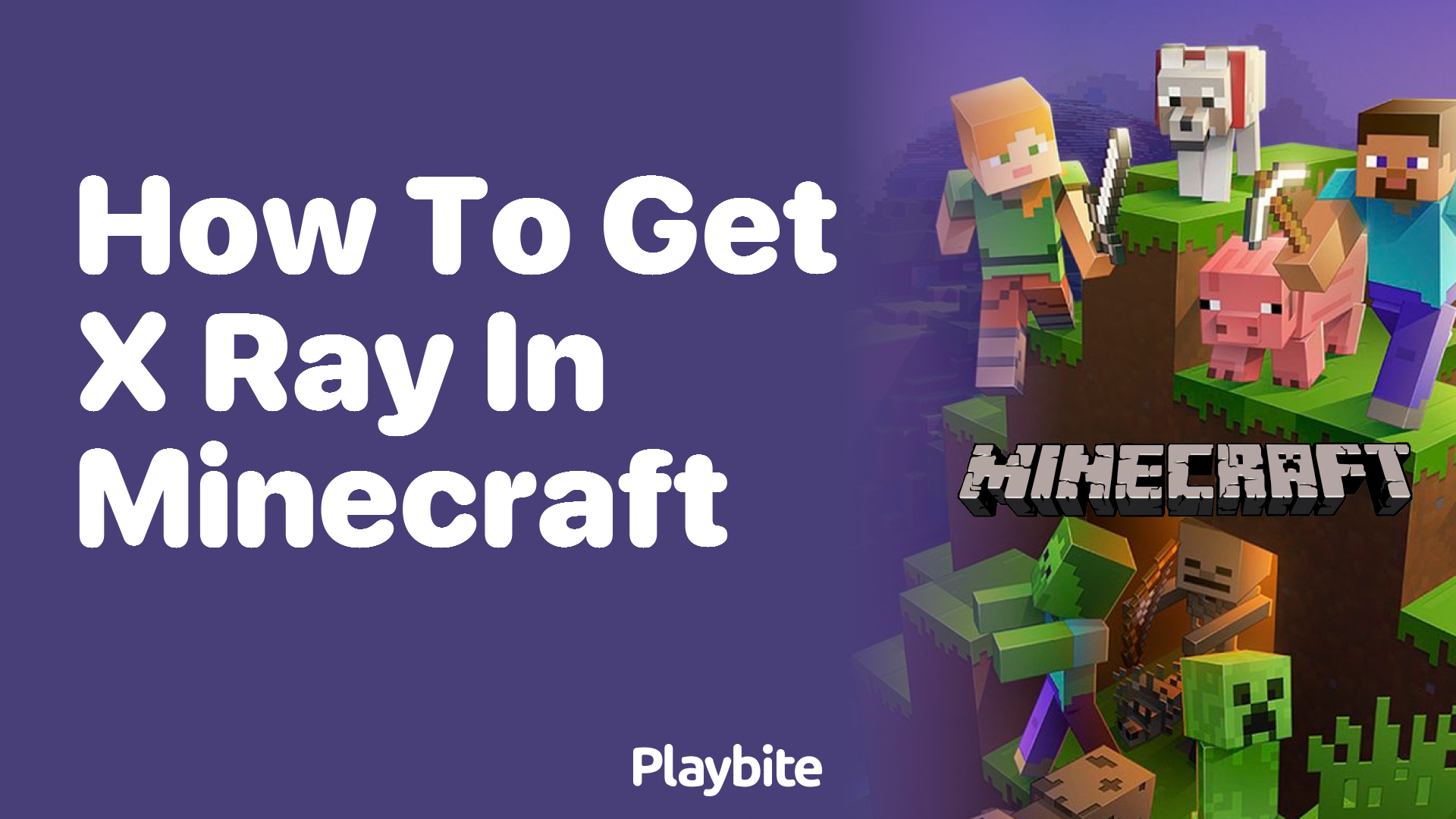 How to Get XRay Vision in Minecraft A Gamer's Guide Playbite