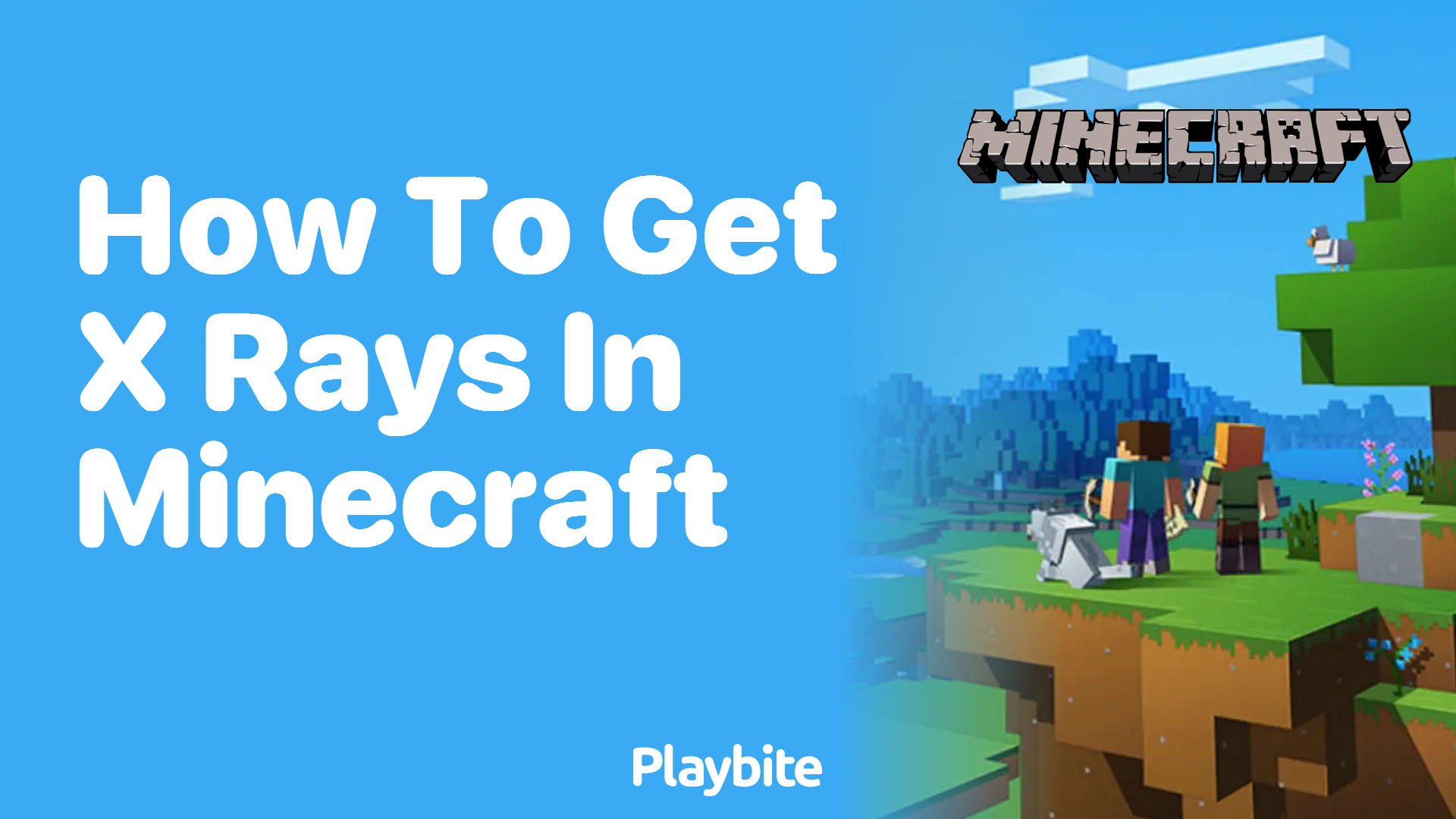 How to Get XRays in Minecraft A Quick Guide Playbite