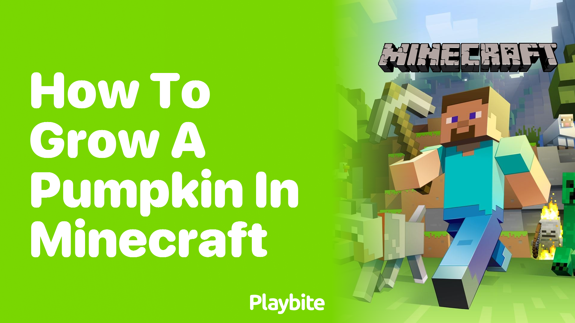 How to Grow a Pumpkin in Minecraft