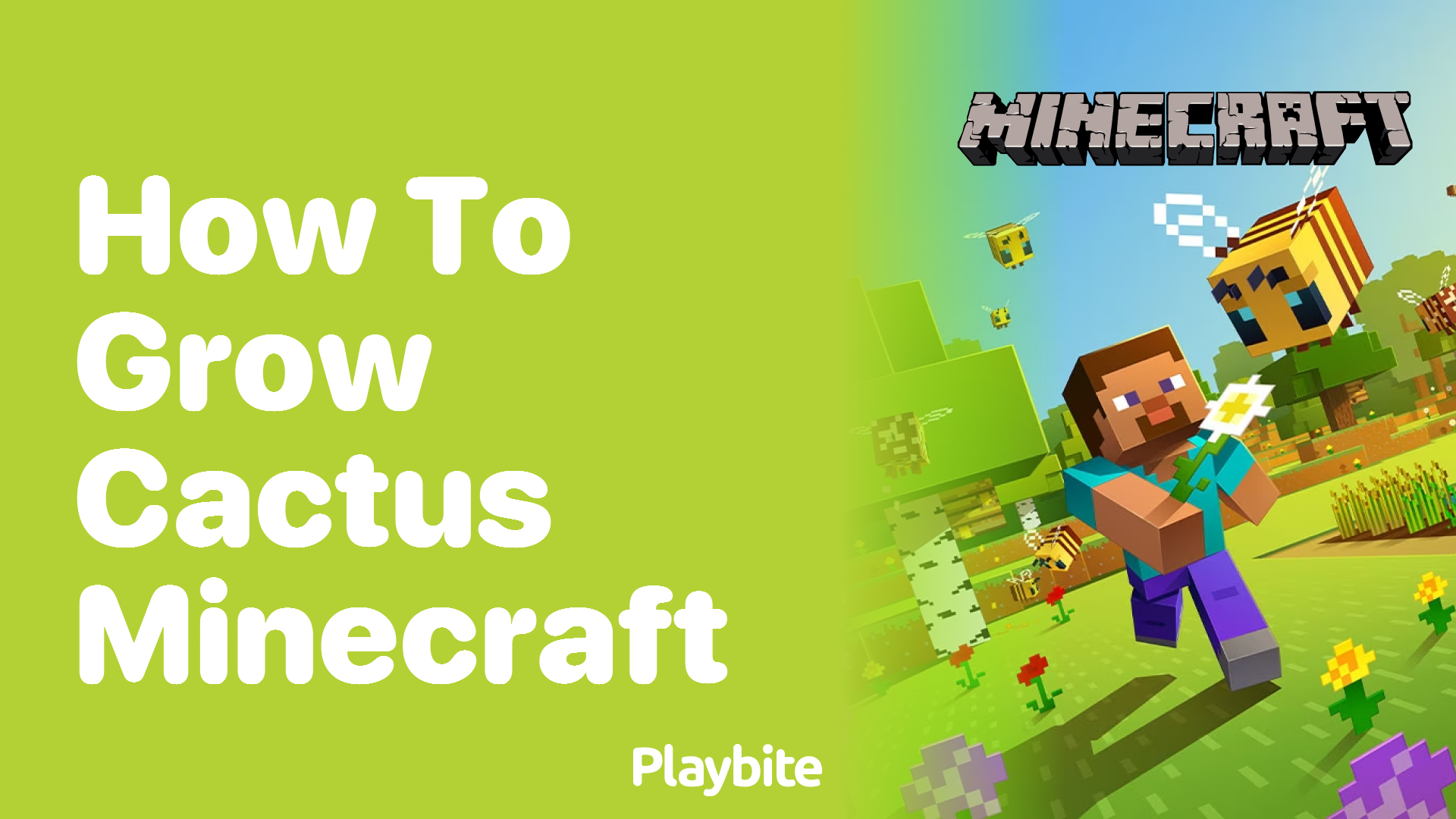 How to Grow Cactus in Minecraft