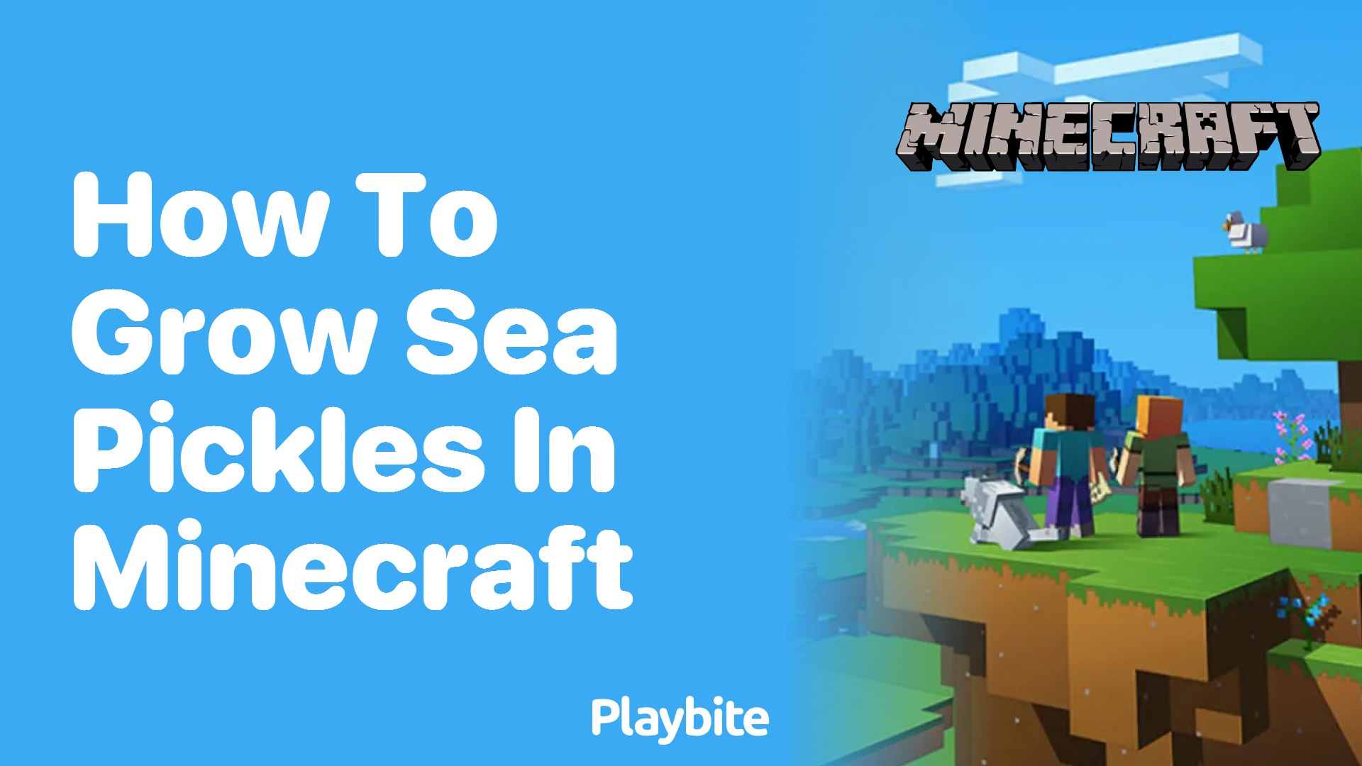 How to Grow Sea Pickles in Minecraft: A Quick Guide