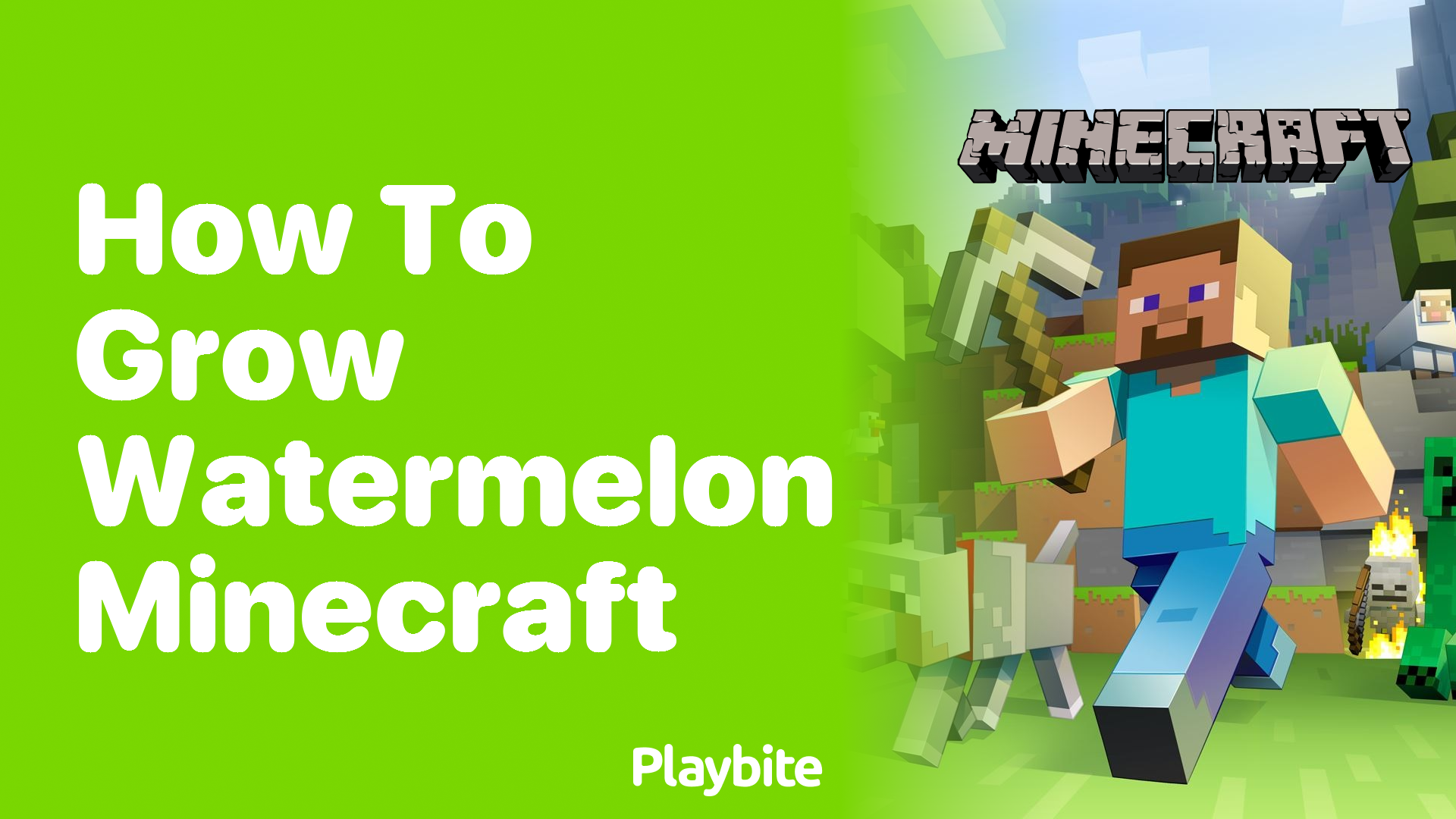 How to Grow Watermelon in Minecraft