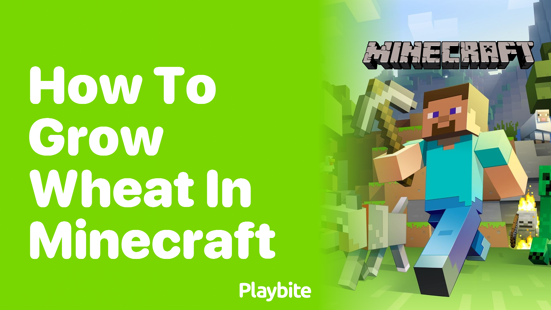 How to Grow Wheat in Minecraft
