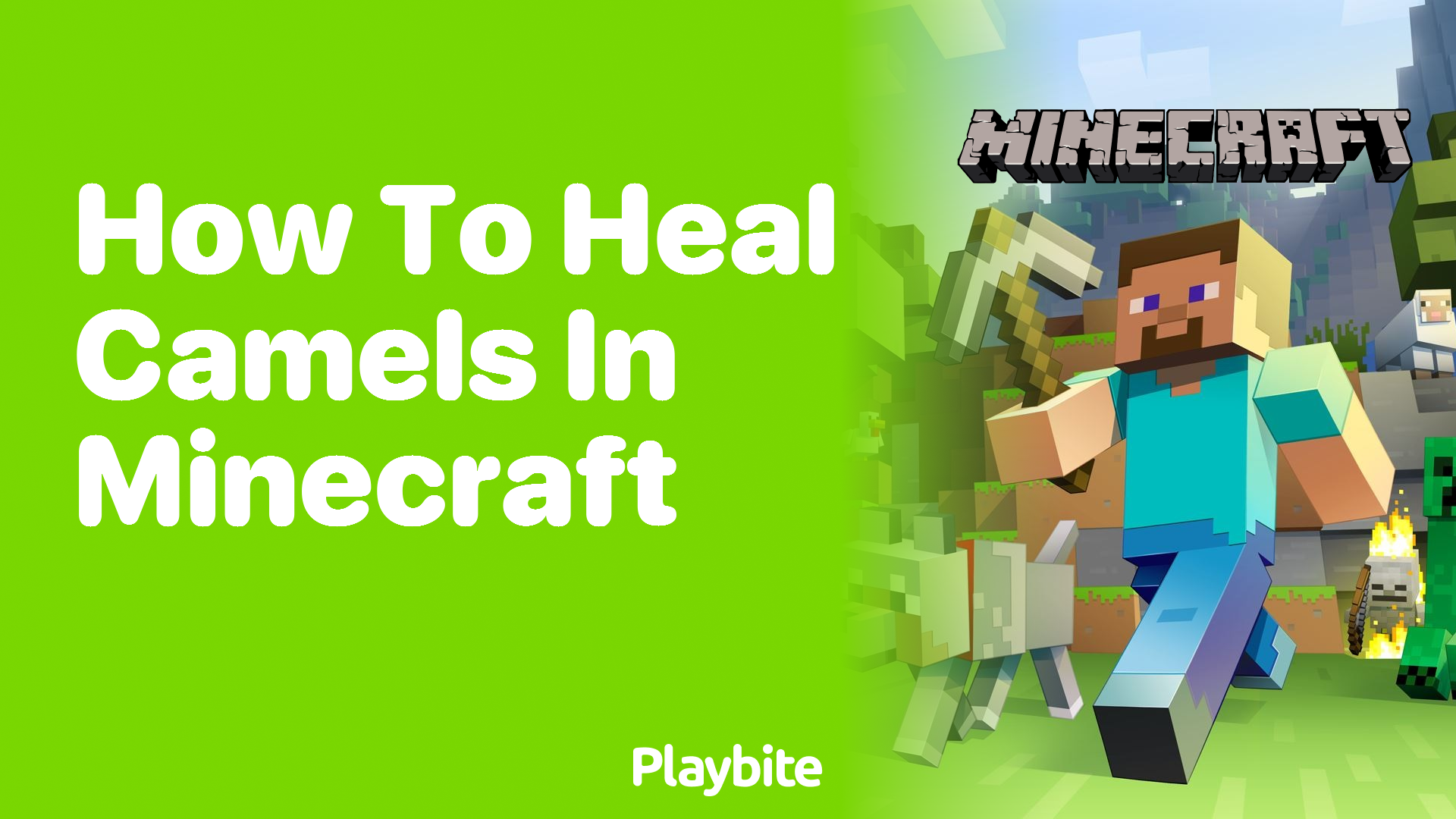 How to Heal Camels in Minecraft
