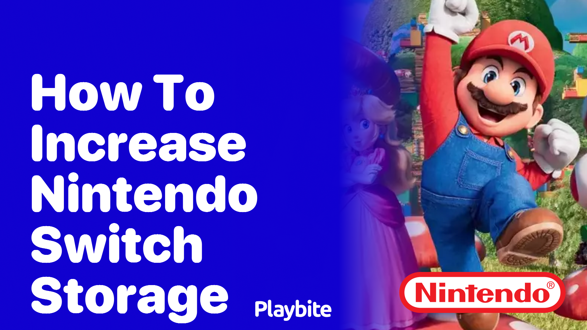 How to Increase Nintendo Switch Storage Playbite