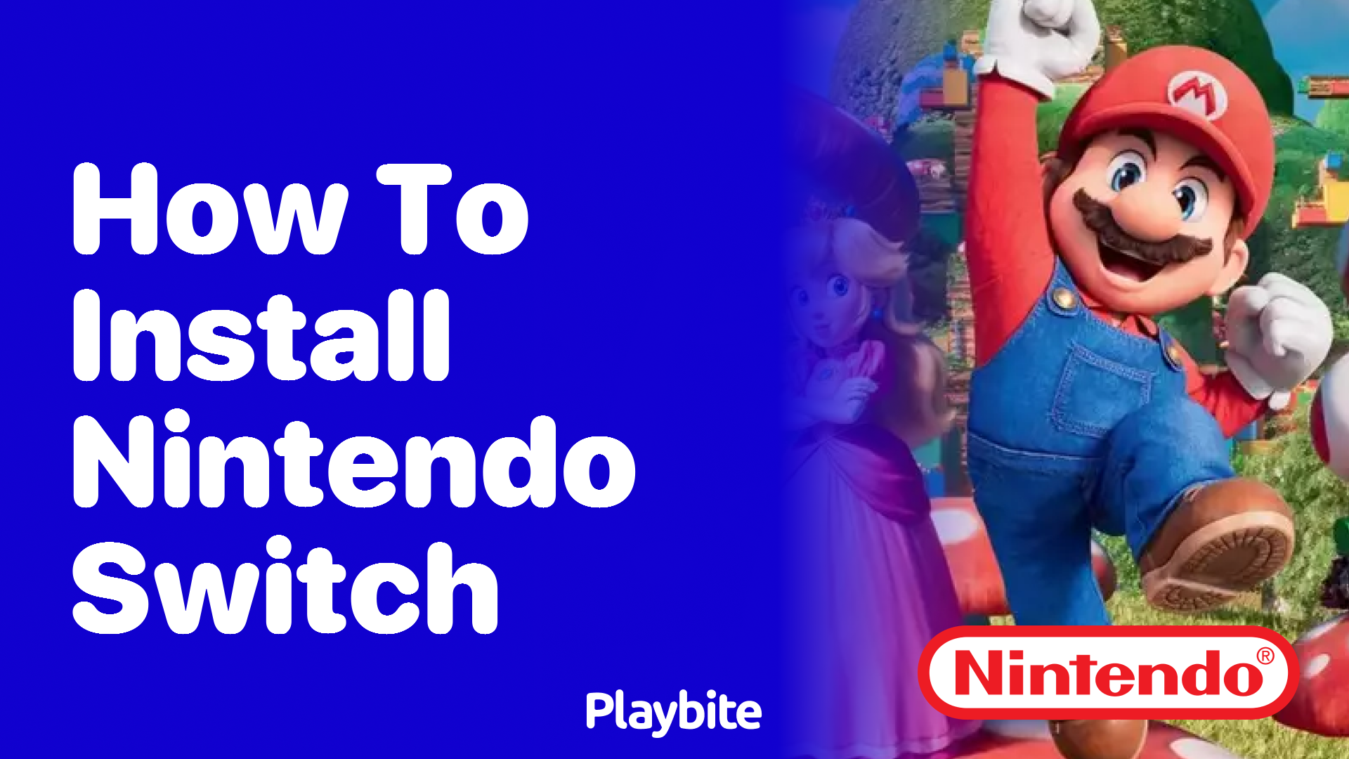 How to Install a Nintendo Switch Playbite