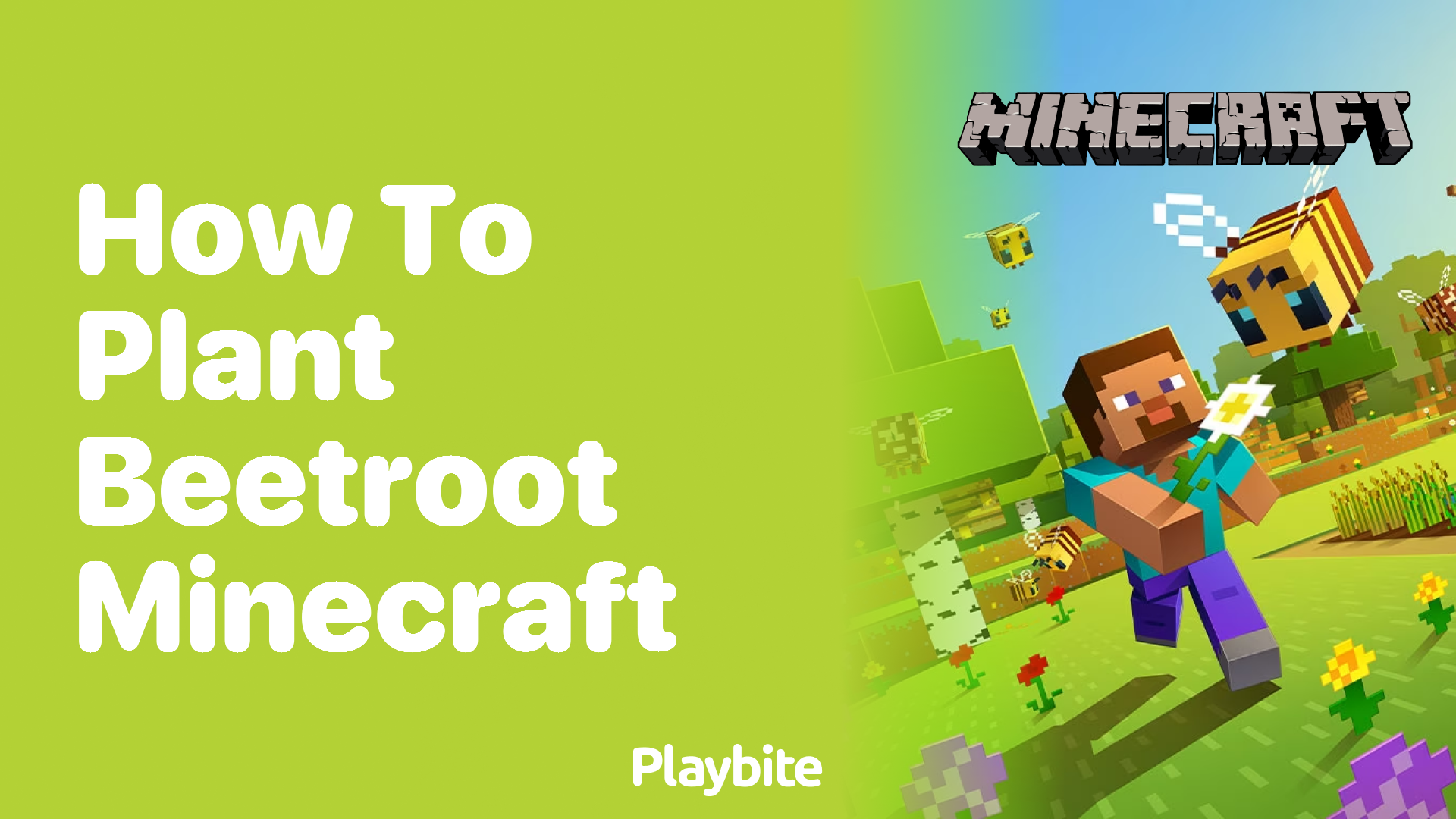 How to Plant Beetroot in Minecraft: A Step-by-Step Guide
