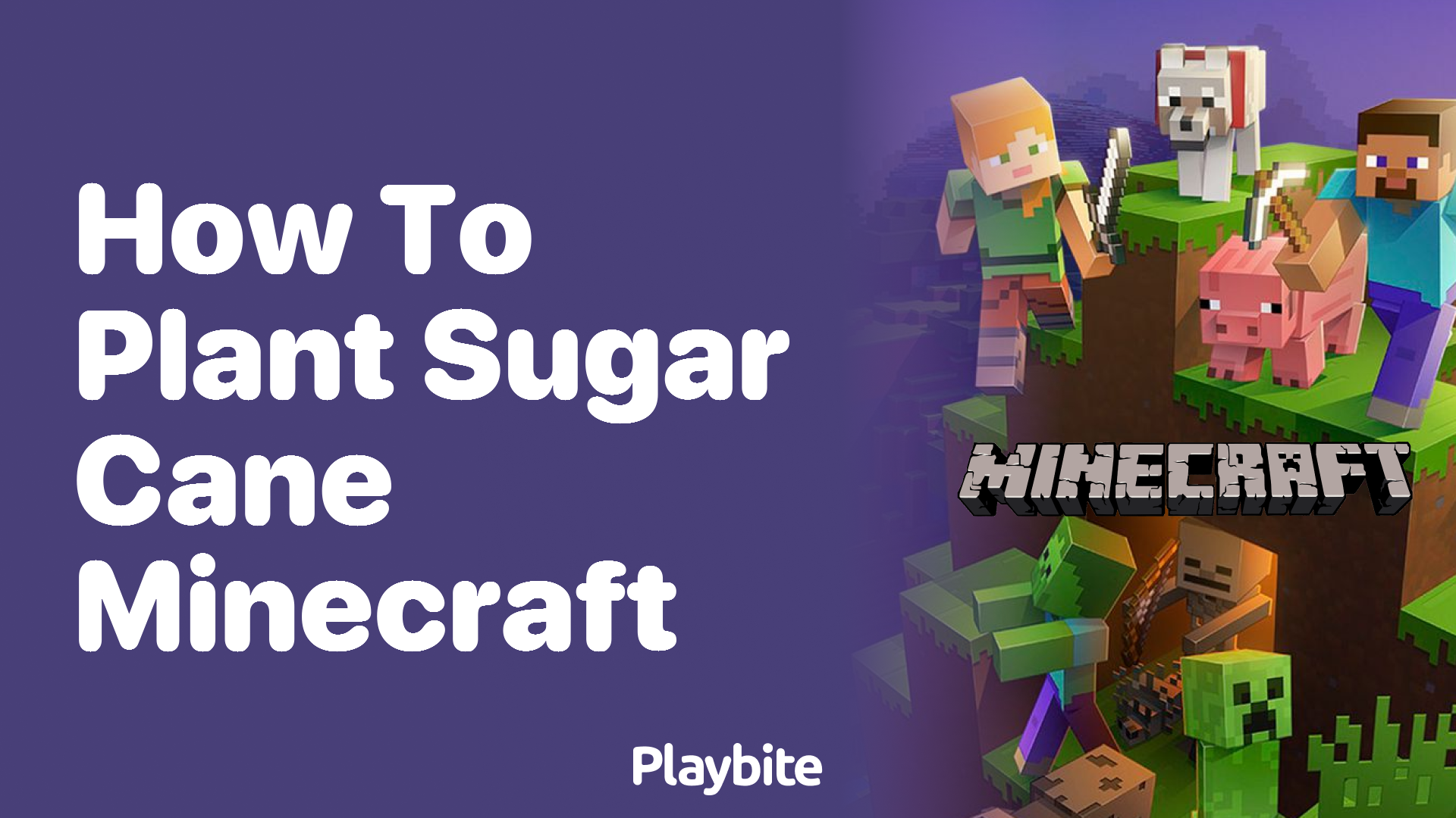 How to Plant Sugar Cane in Minecraft: A Simple Guide