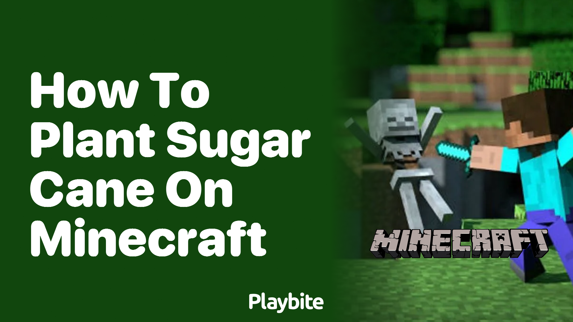 How to Plant Sugar Cane in Minecraft