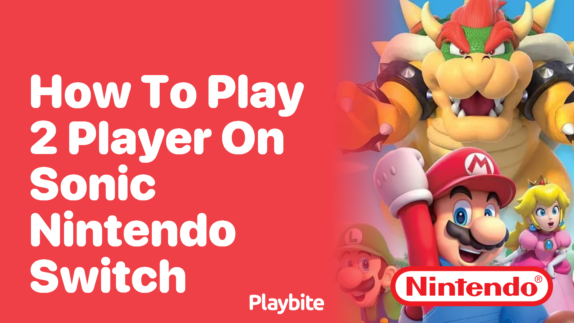 How to Play 2 Player on Sonic Nintendo Switch
