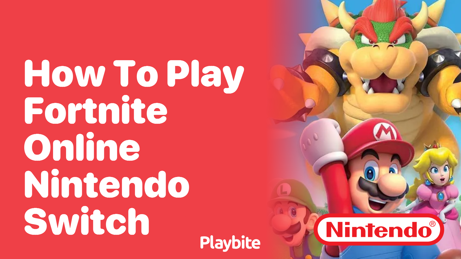 How to Play Fortnite Online on Nintendo Switch